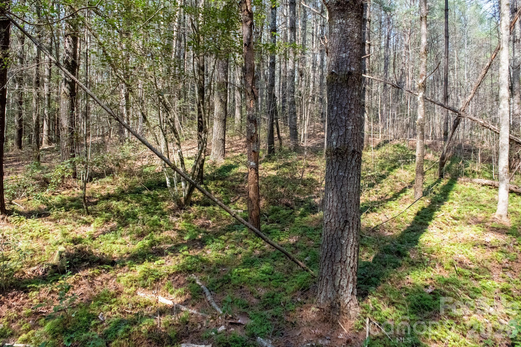 The Bluffs of Wilson Creek - Land