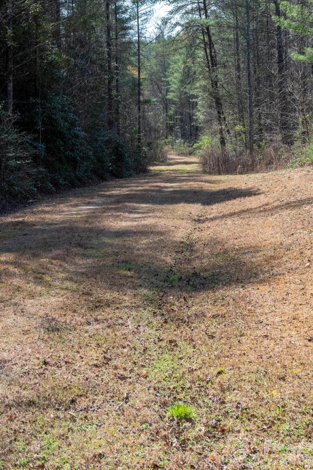 The Bluffs of Wilson Creek - Land