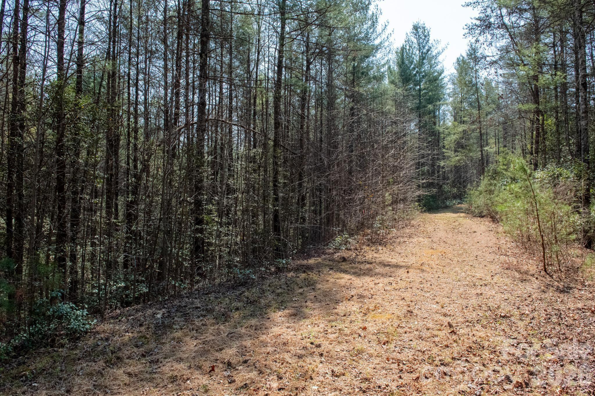 The Bluffs of Wilson Creek - Land