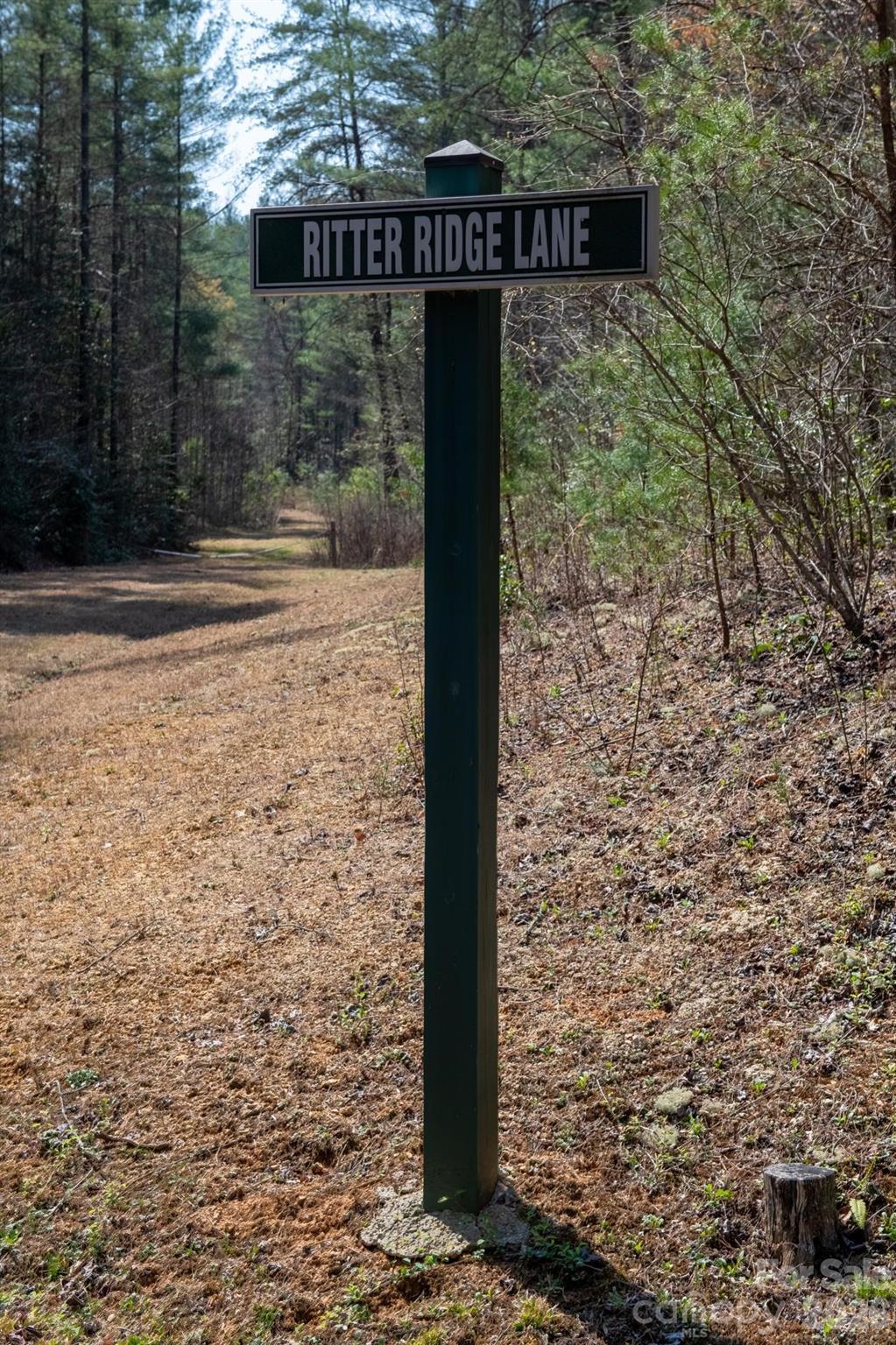 The Bluffs of Wilson Creek - Land