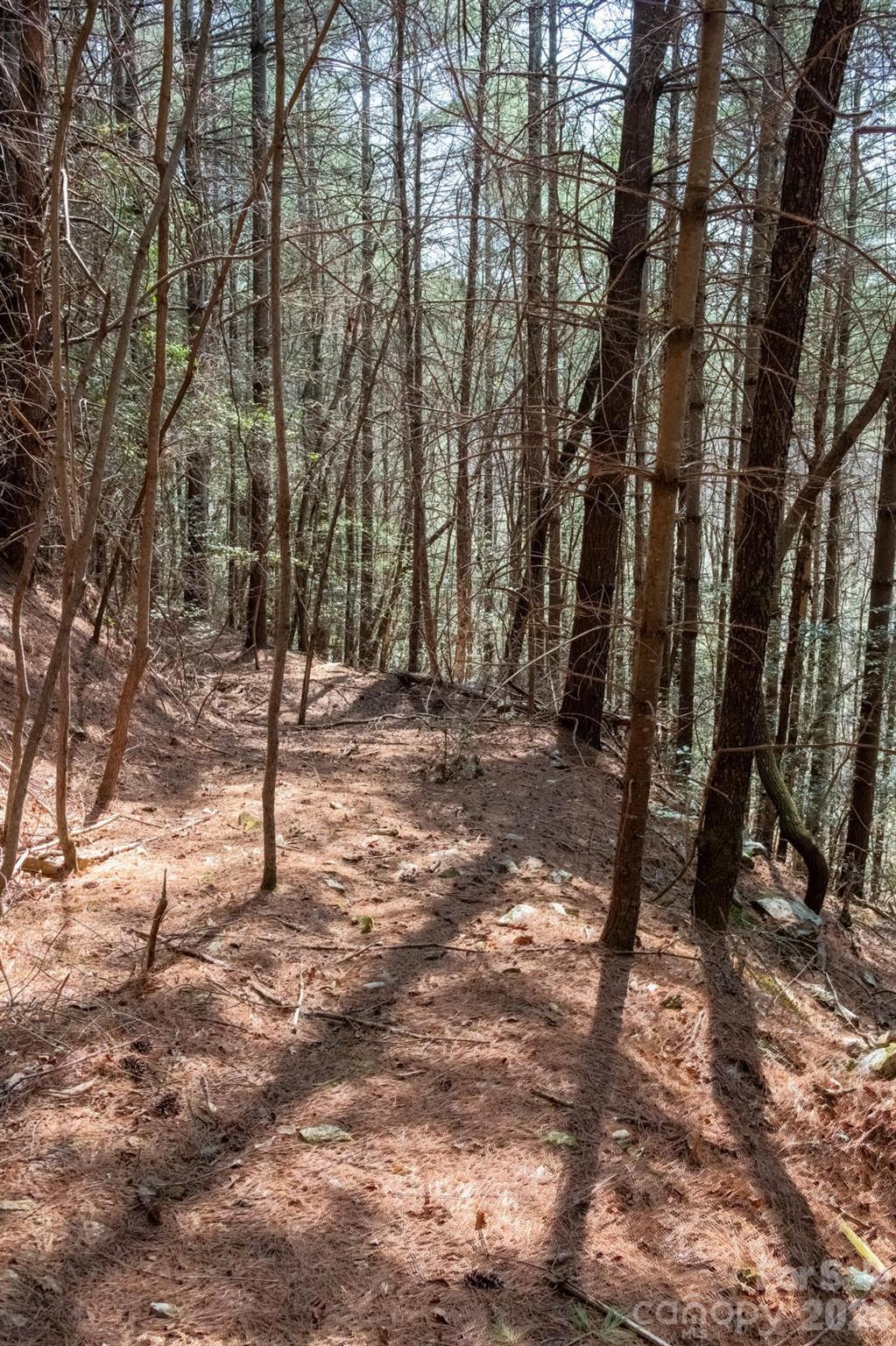 The Bluffs of Wilson Creek - Land