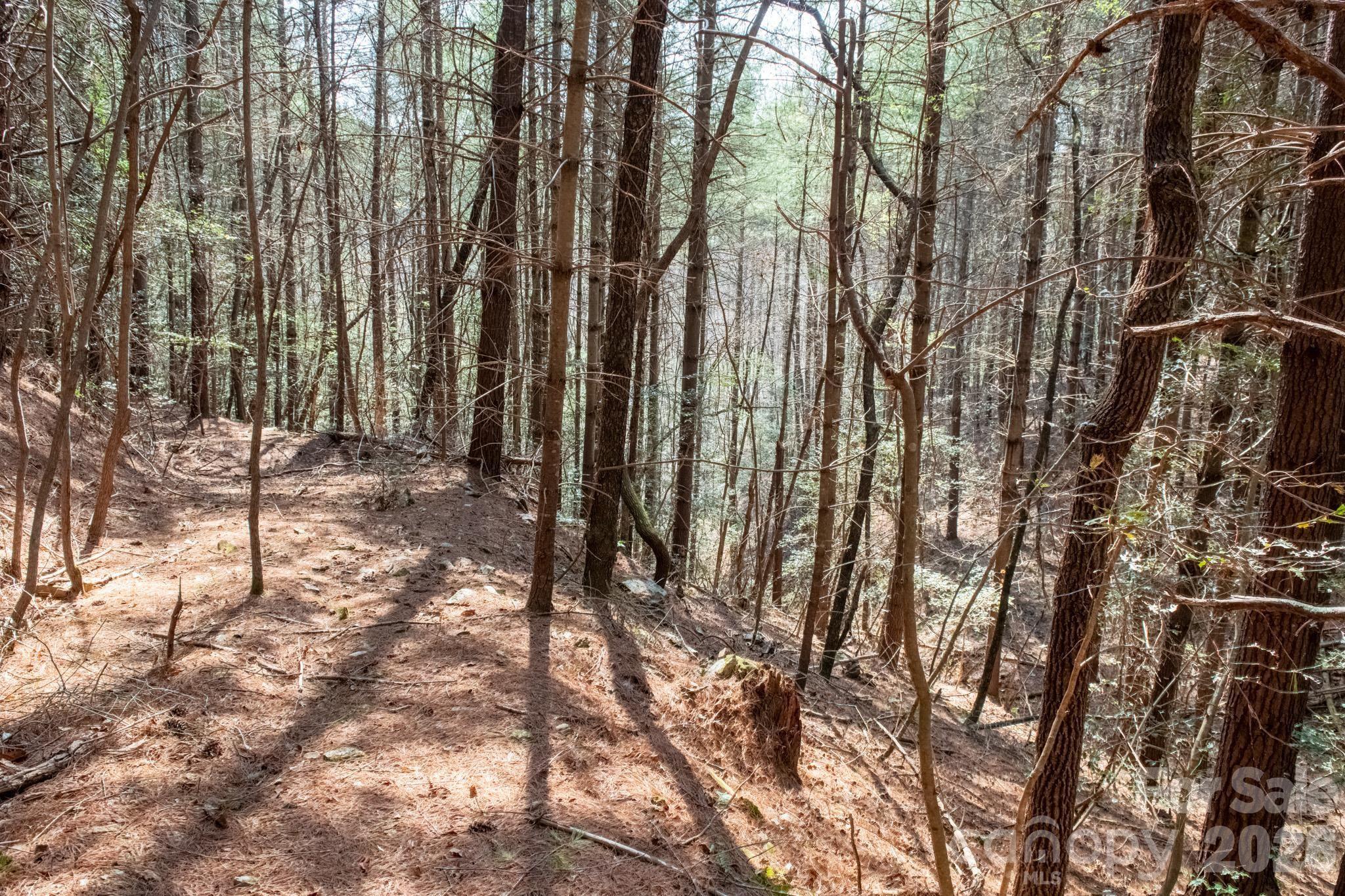 The Bluffs of Wilson Creek - Land