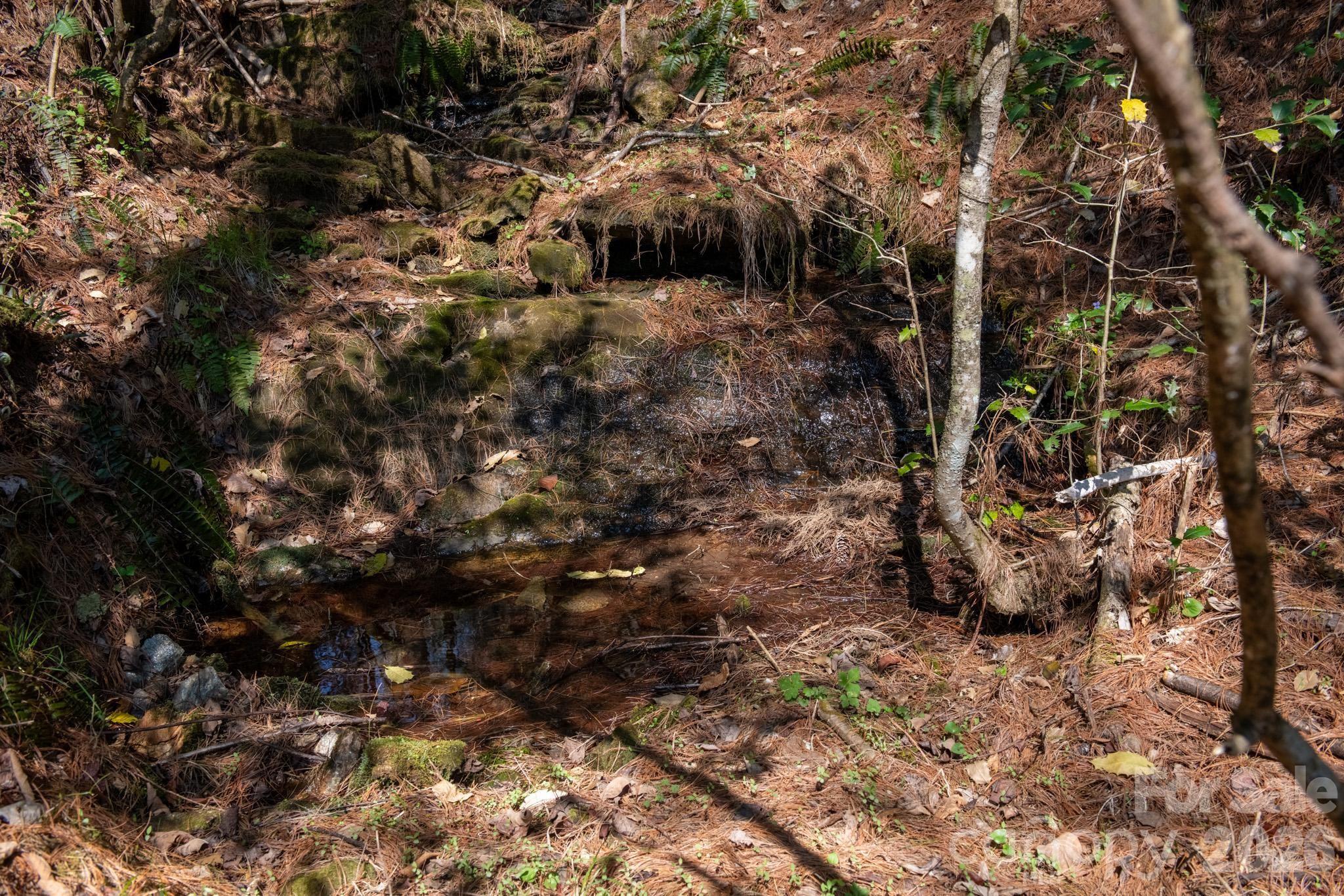 The Bluffs of Wilson Creek - Land