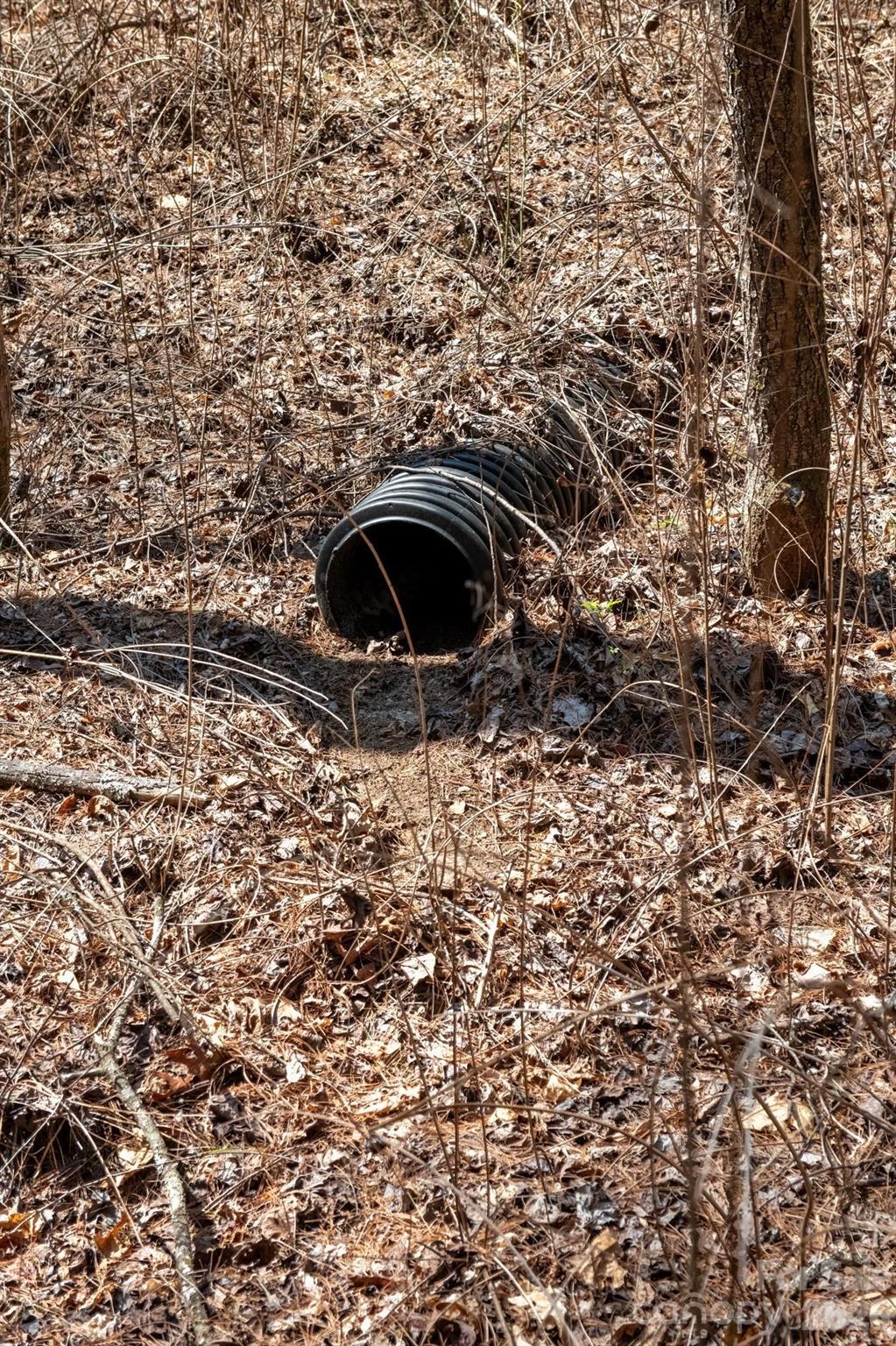 The Bluffs of Wilson Creek - Land