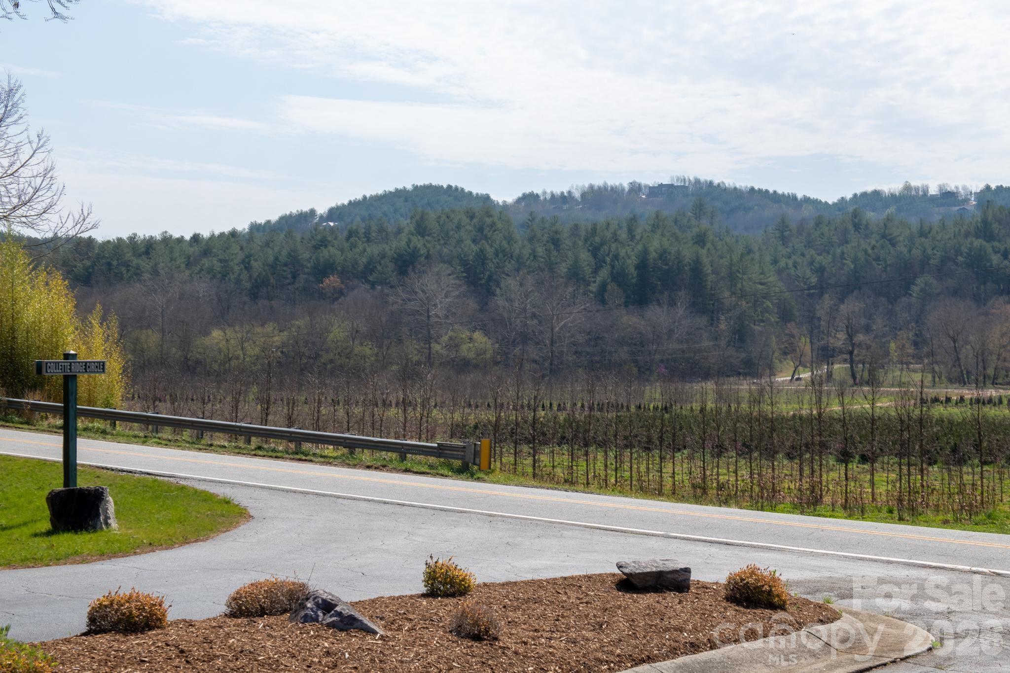 The Bluffs of Wilson Creek - Land