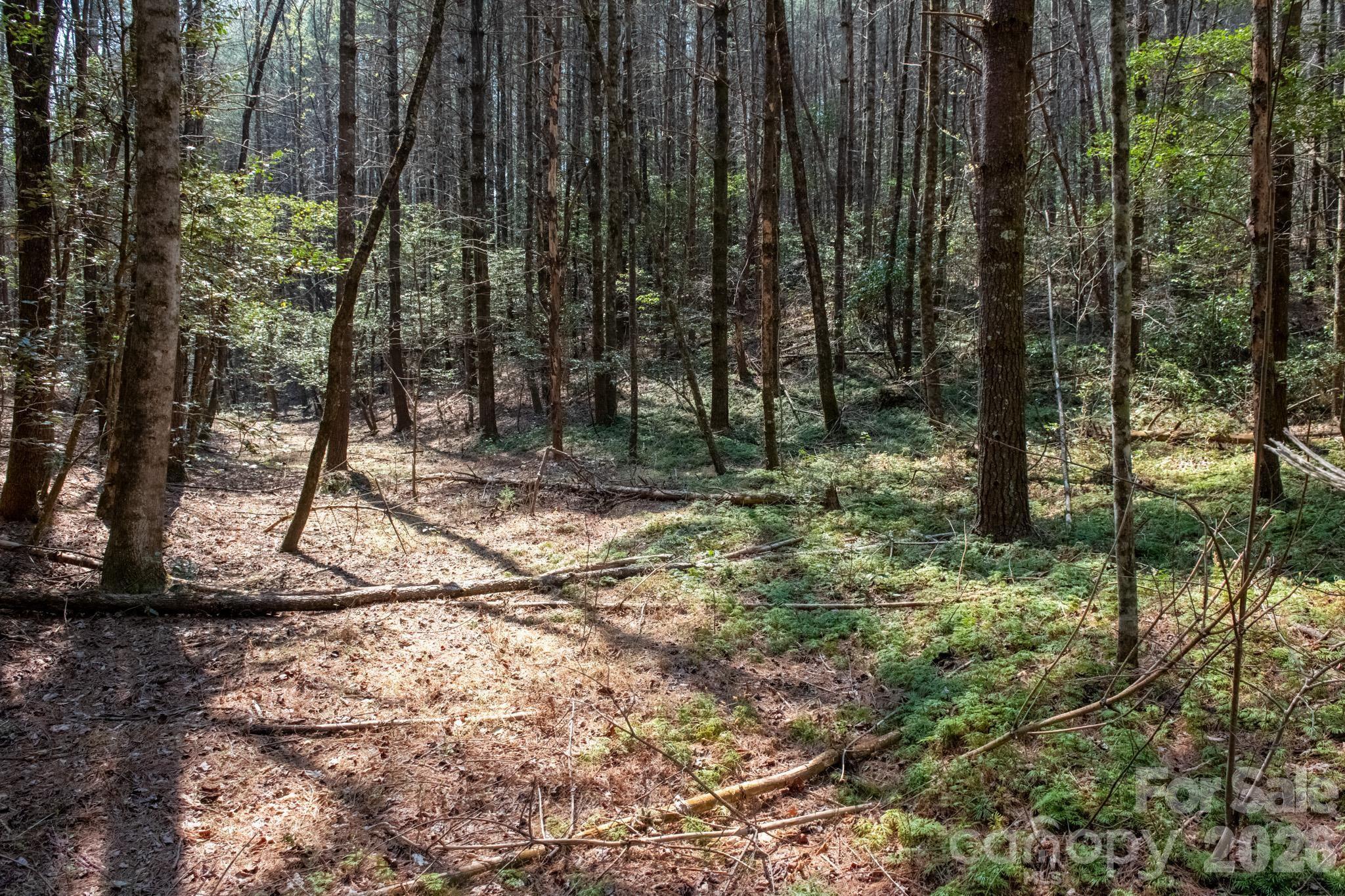 The Bluffs of Wilson Creek - Land