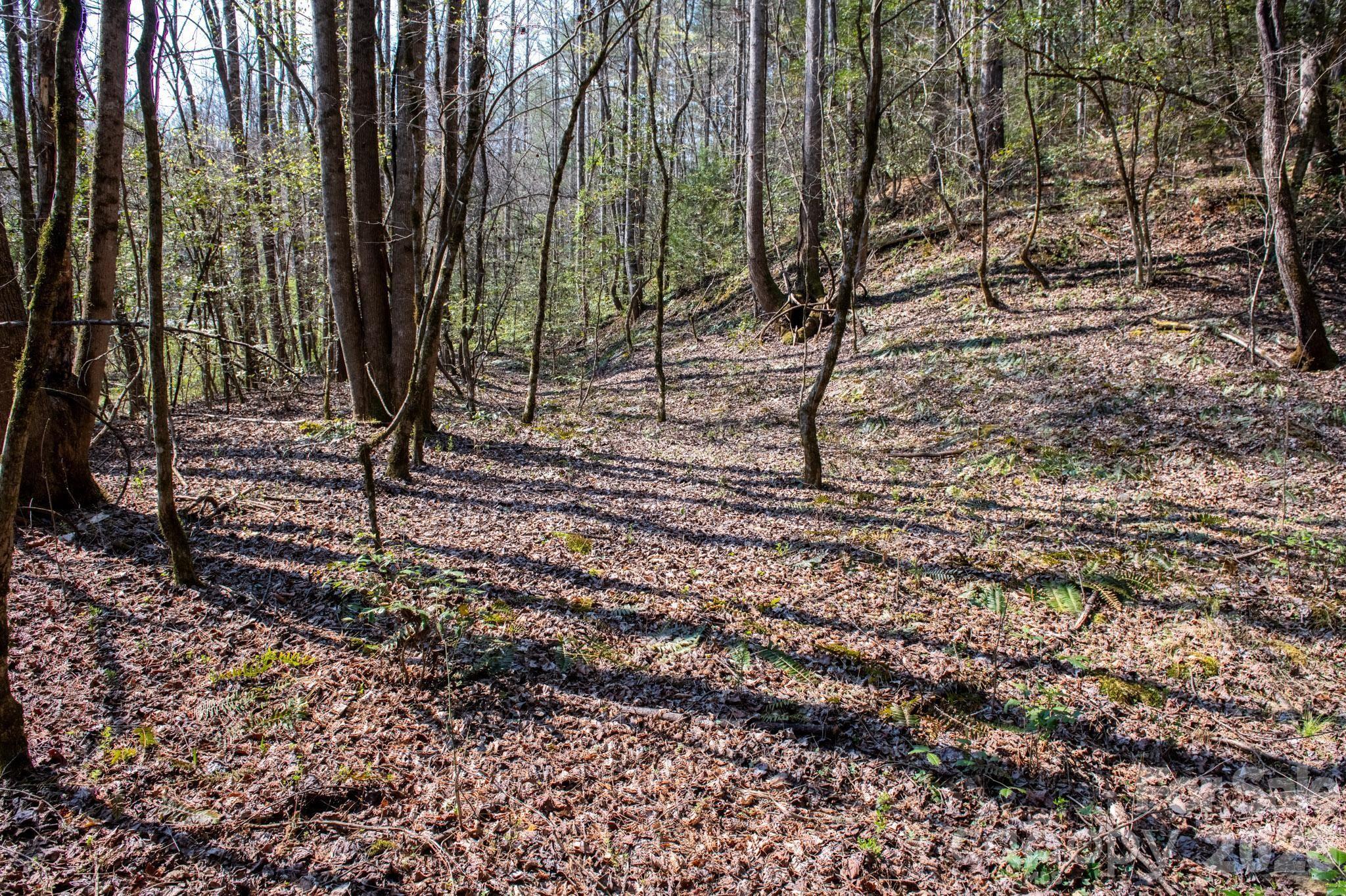 The Bluffs of Wilson Creek - Land