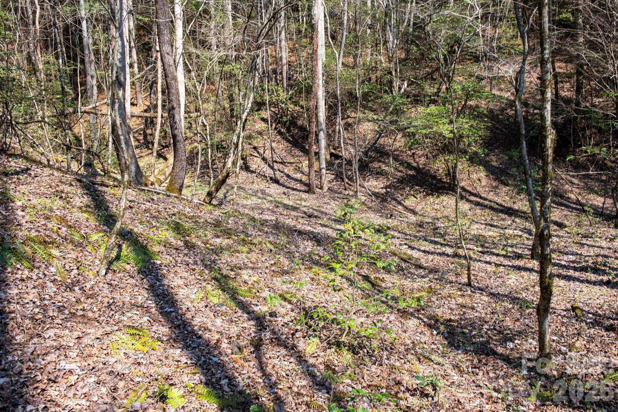 The Bluffs of Wilson Creek - Land