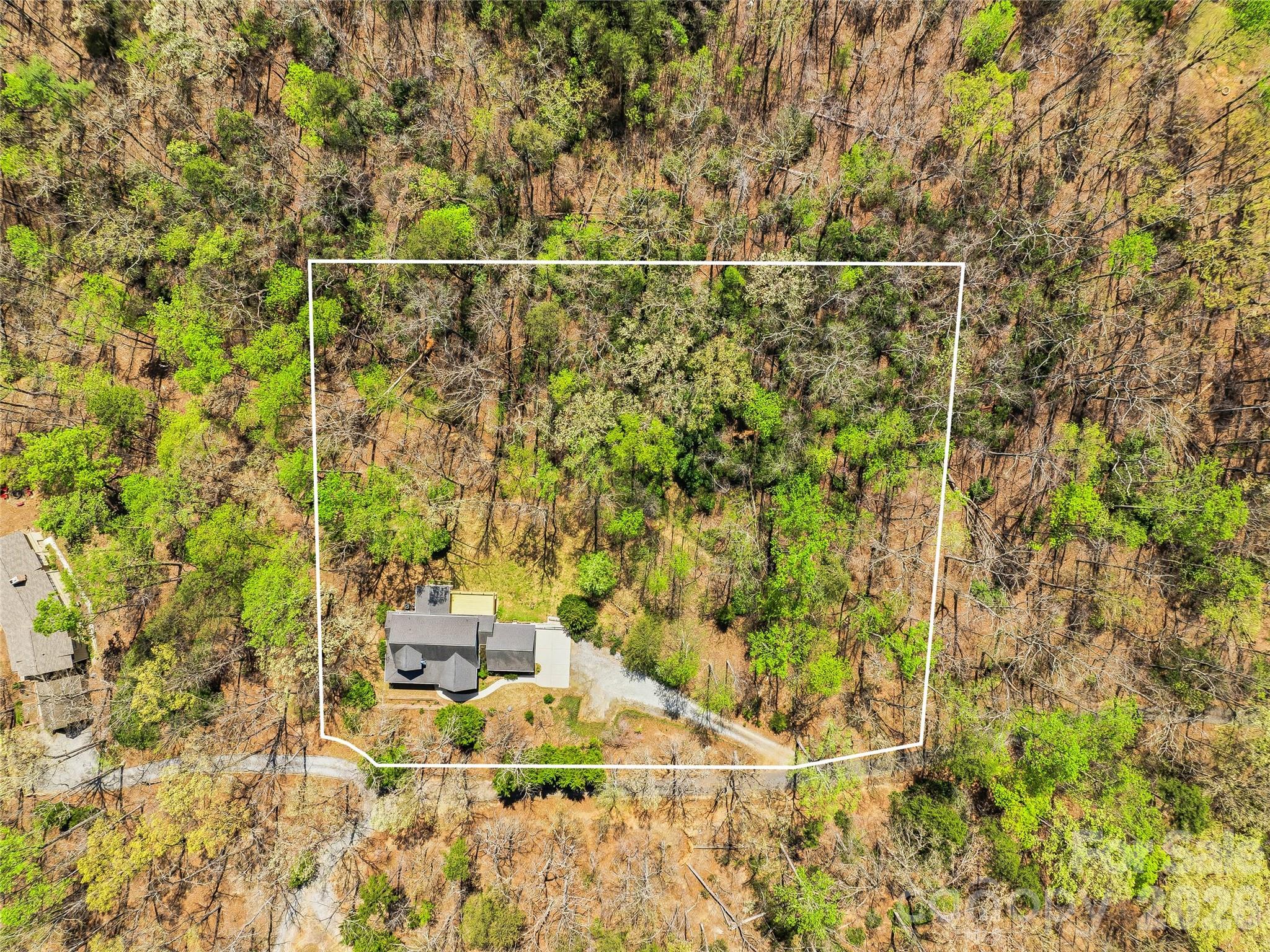 Red Fox - Residential