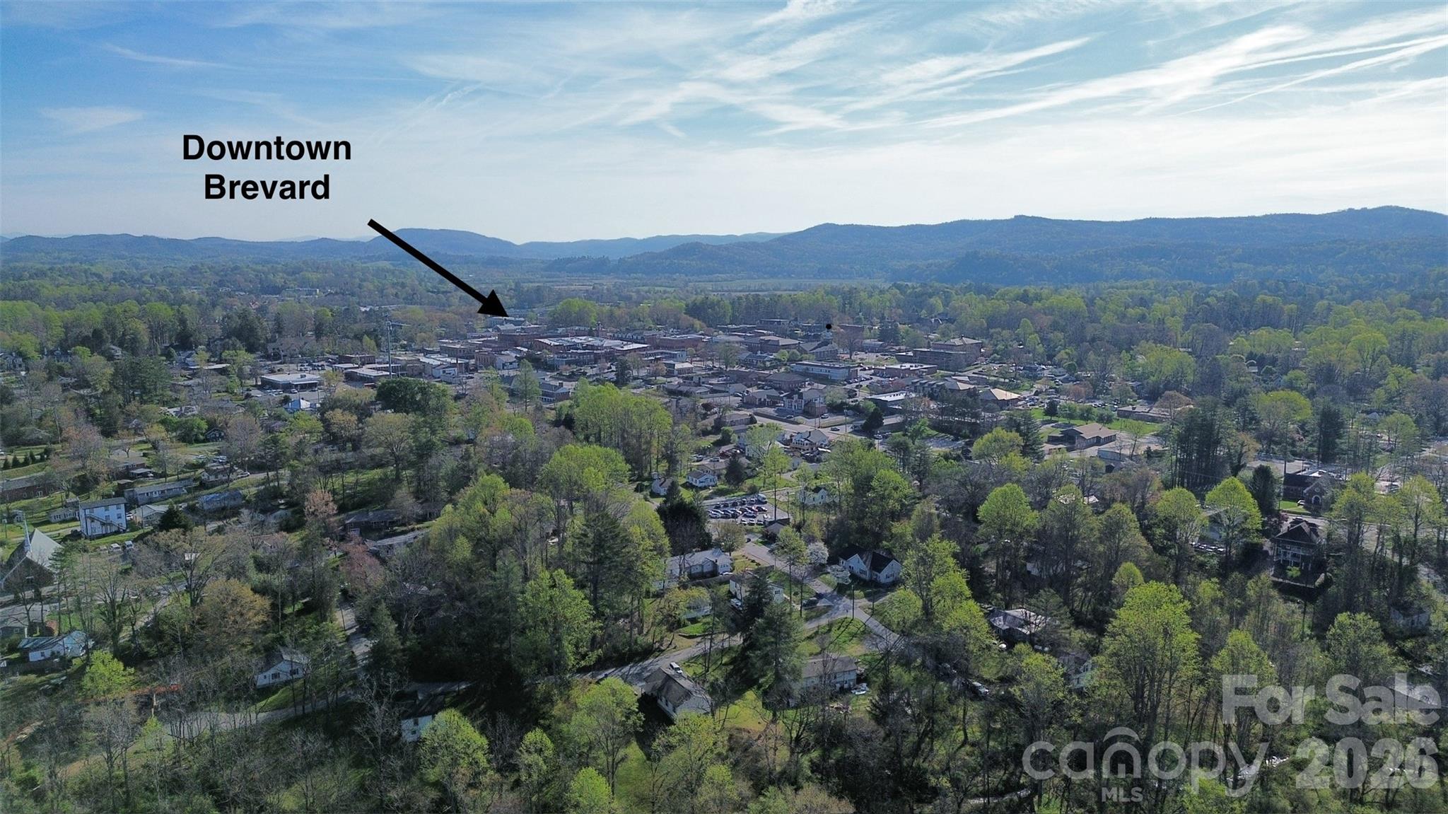 Mickey Park - Residential