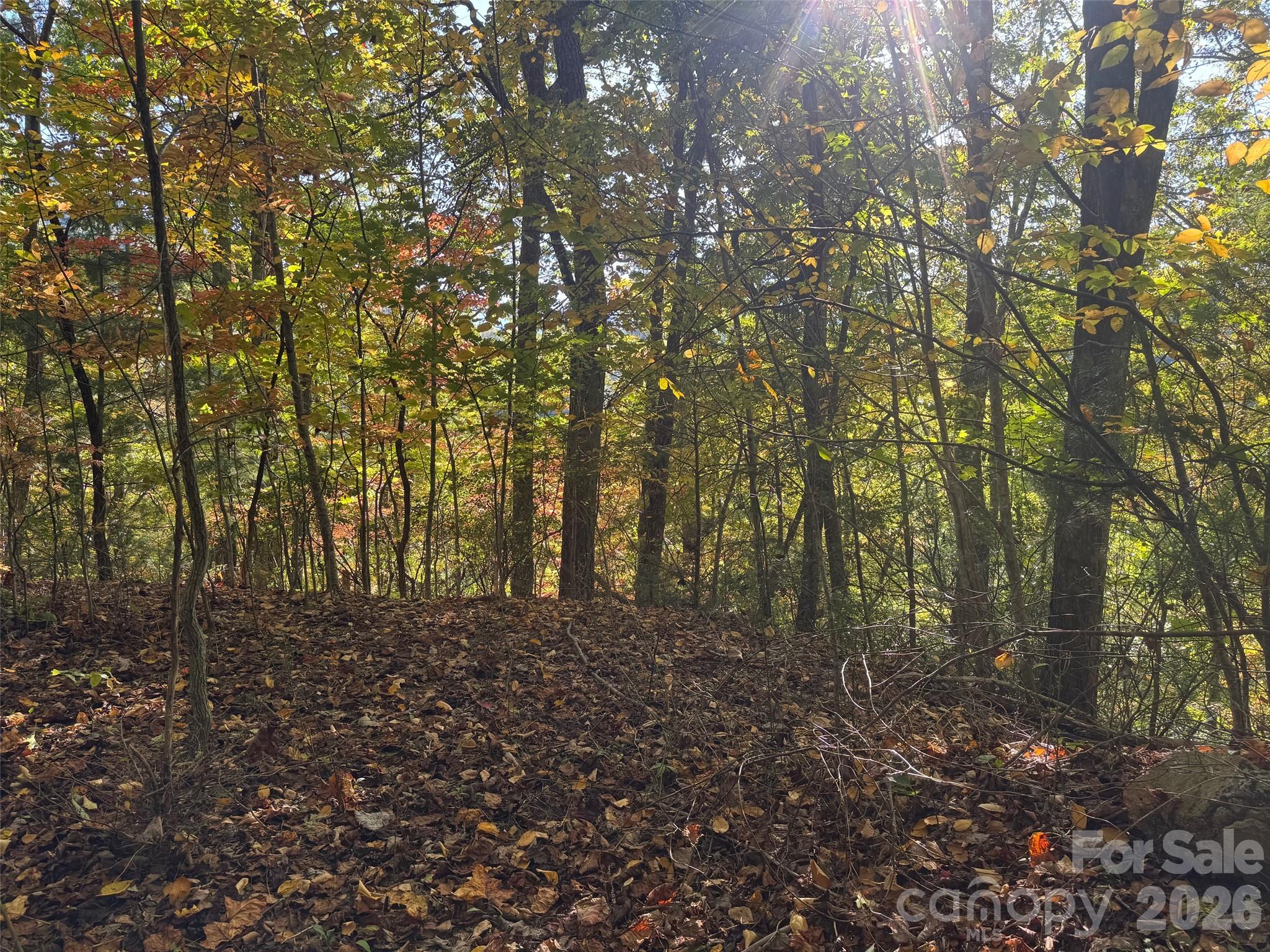 37 Timucua Trail