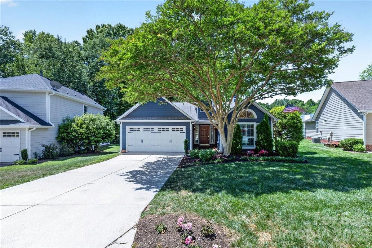 Selwyn Farms - Residential