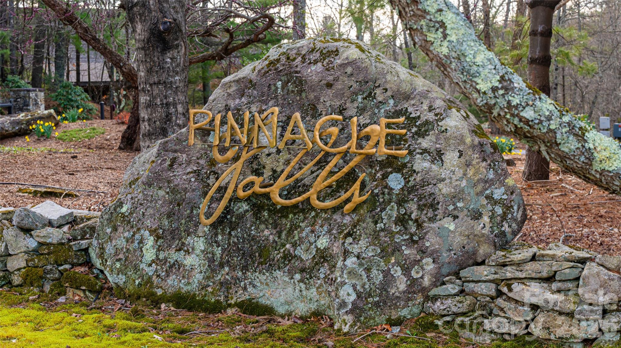 Pinnacle Falls - Residential