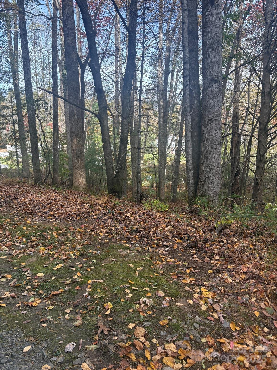 Waterford Place - Land