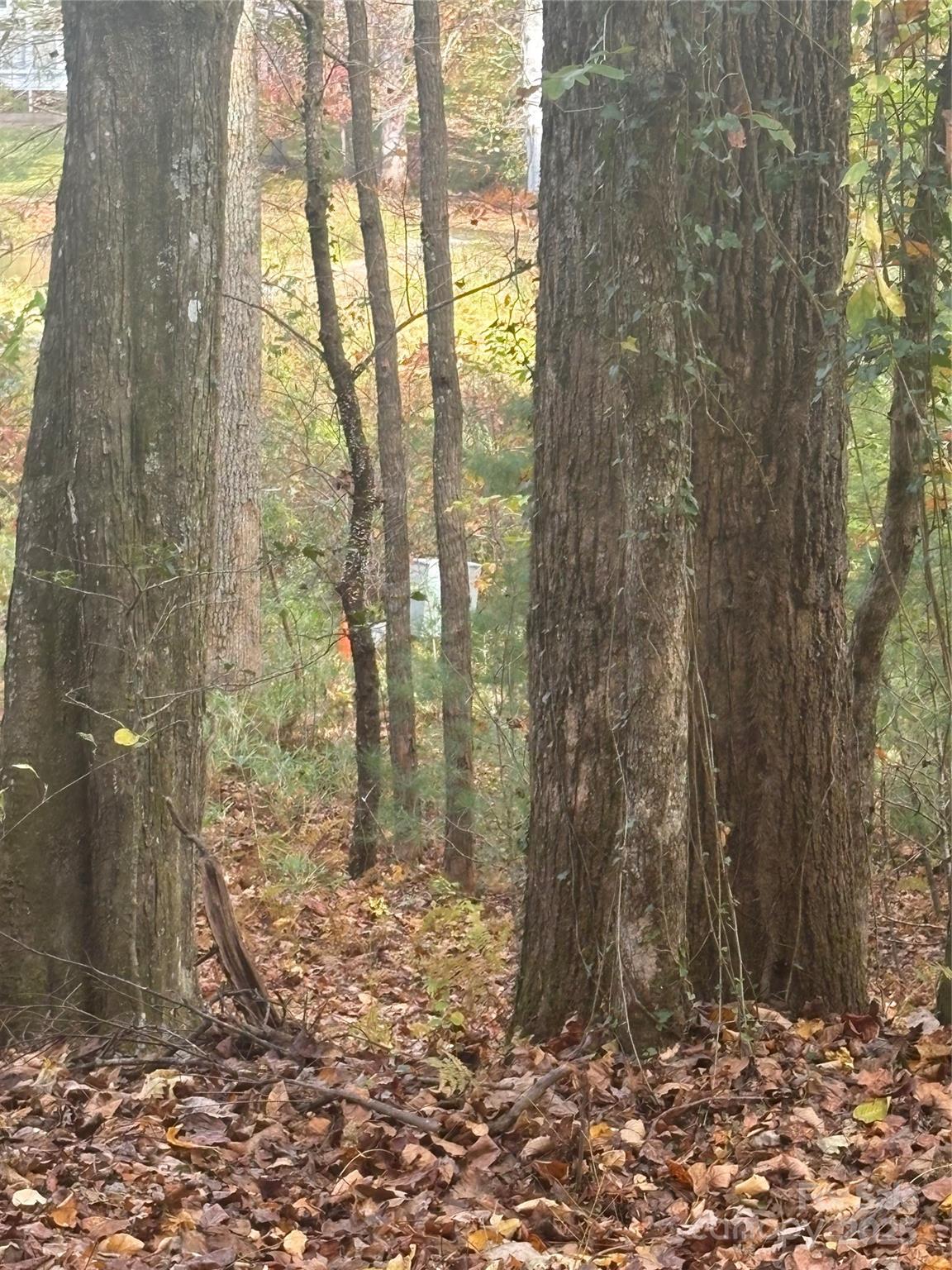 Waterford Place - Land