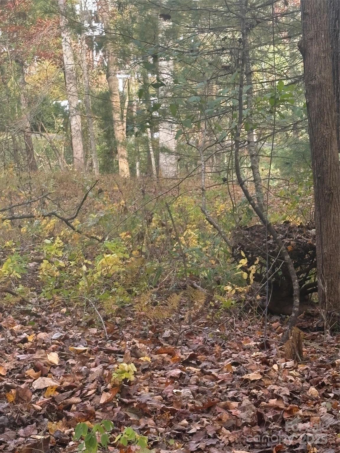 Waterford Place - Land