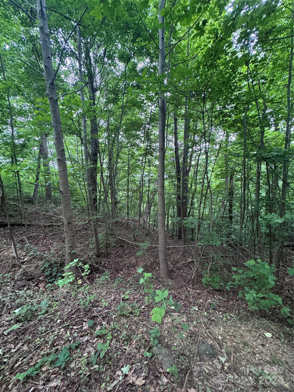 The Sanctuary of Tryon - Land