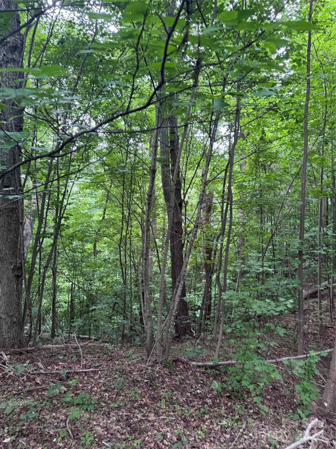 The Sanctuary of Tryon - Land