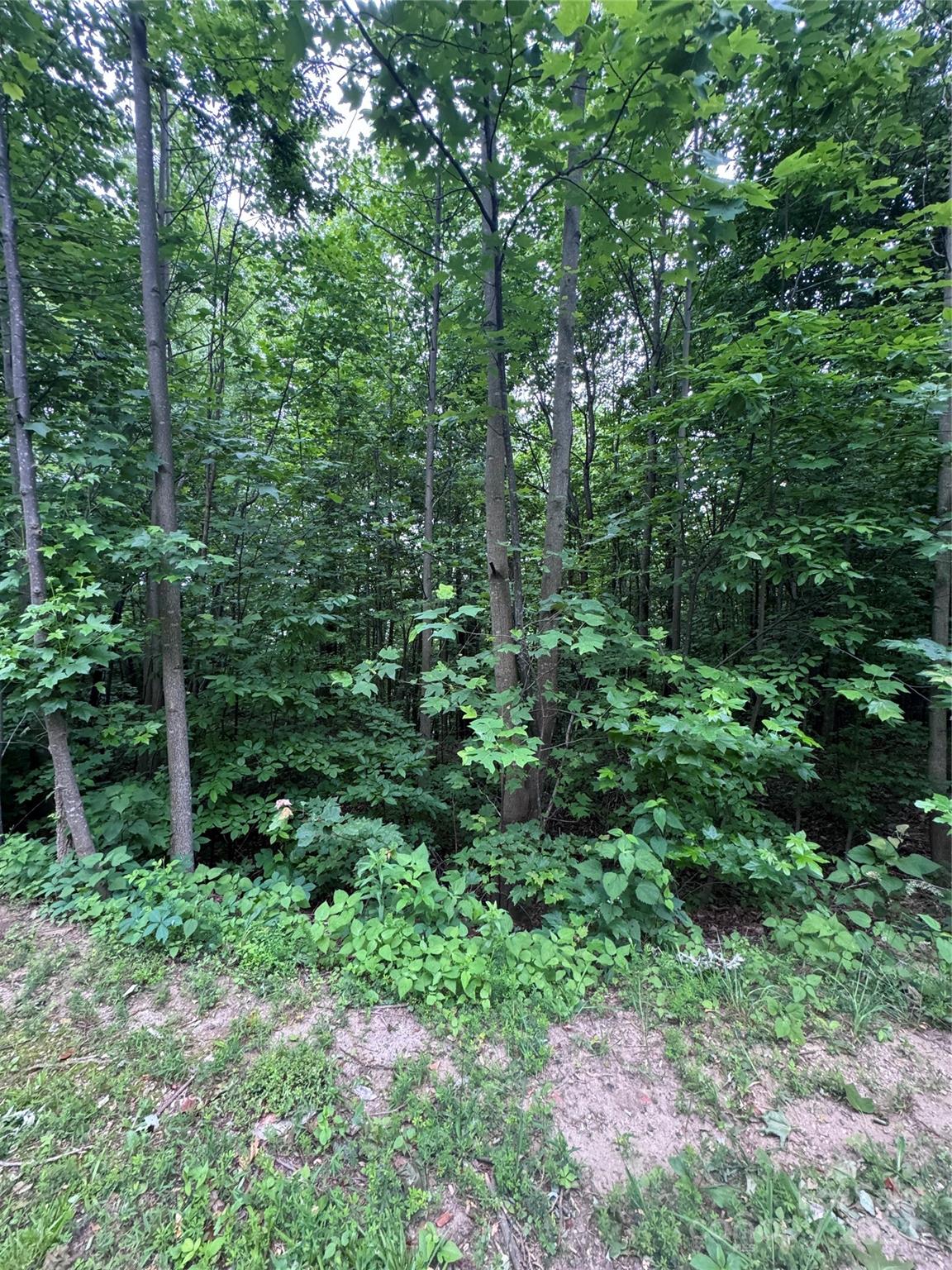 The Sanctuary of Tryon - Land