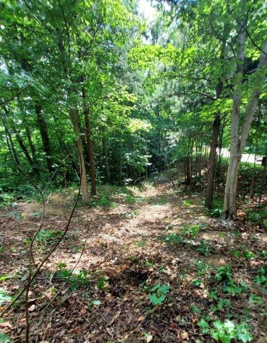 The Sanctuary of Tryon - Land