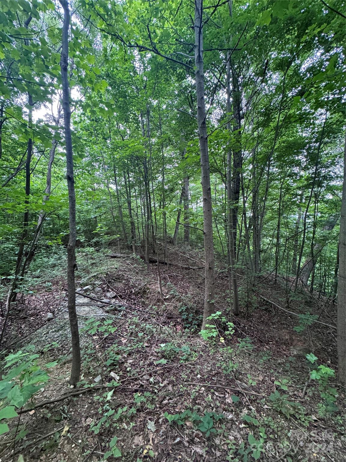 The Sanctuary of Tryon - Land