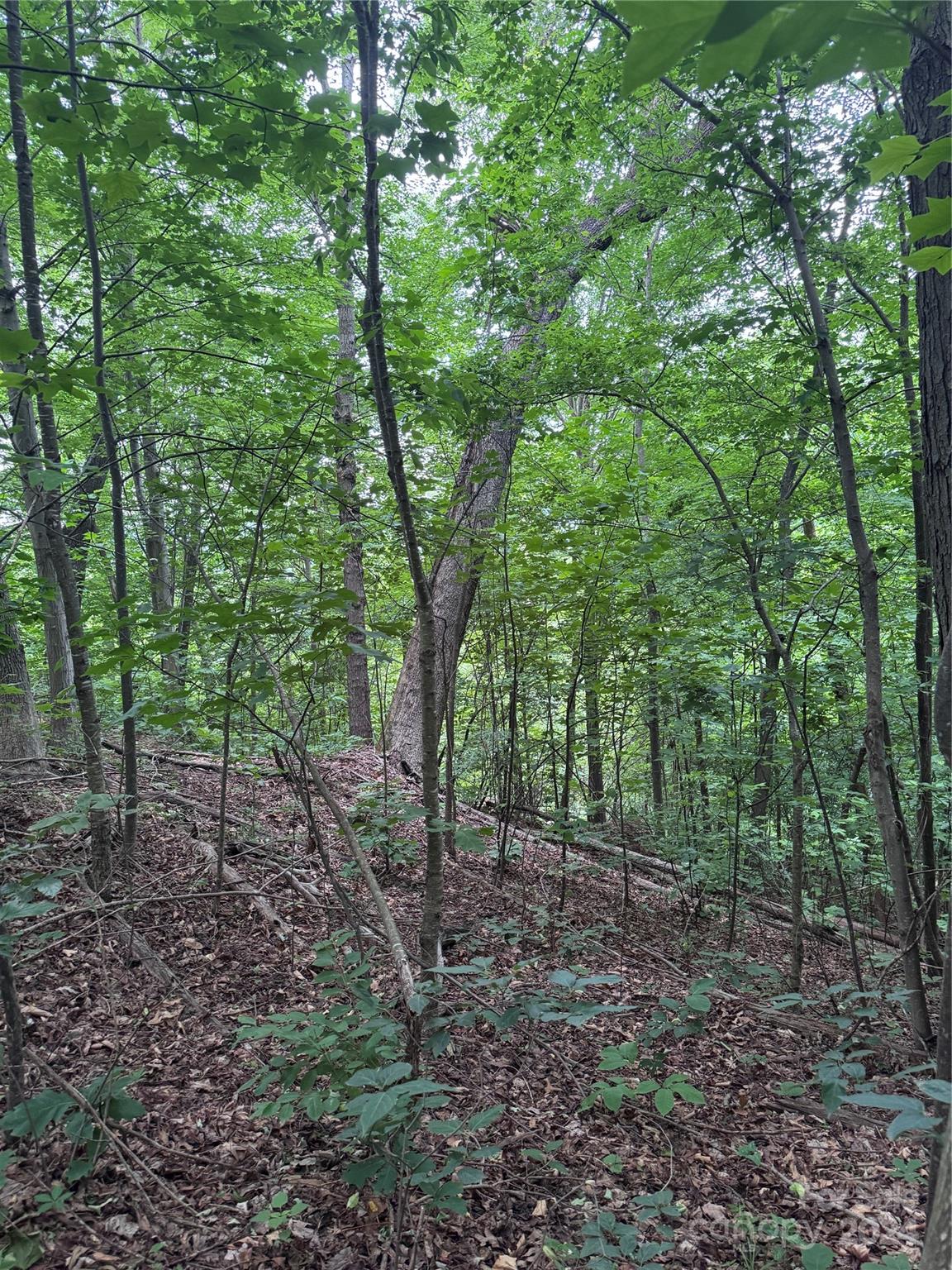 The Sanctuary of Tryon - Land