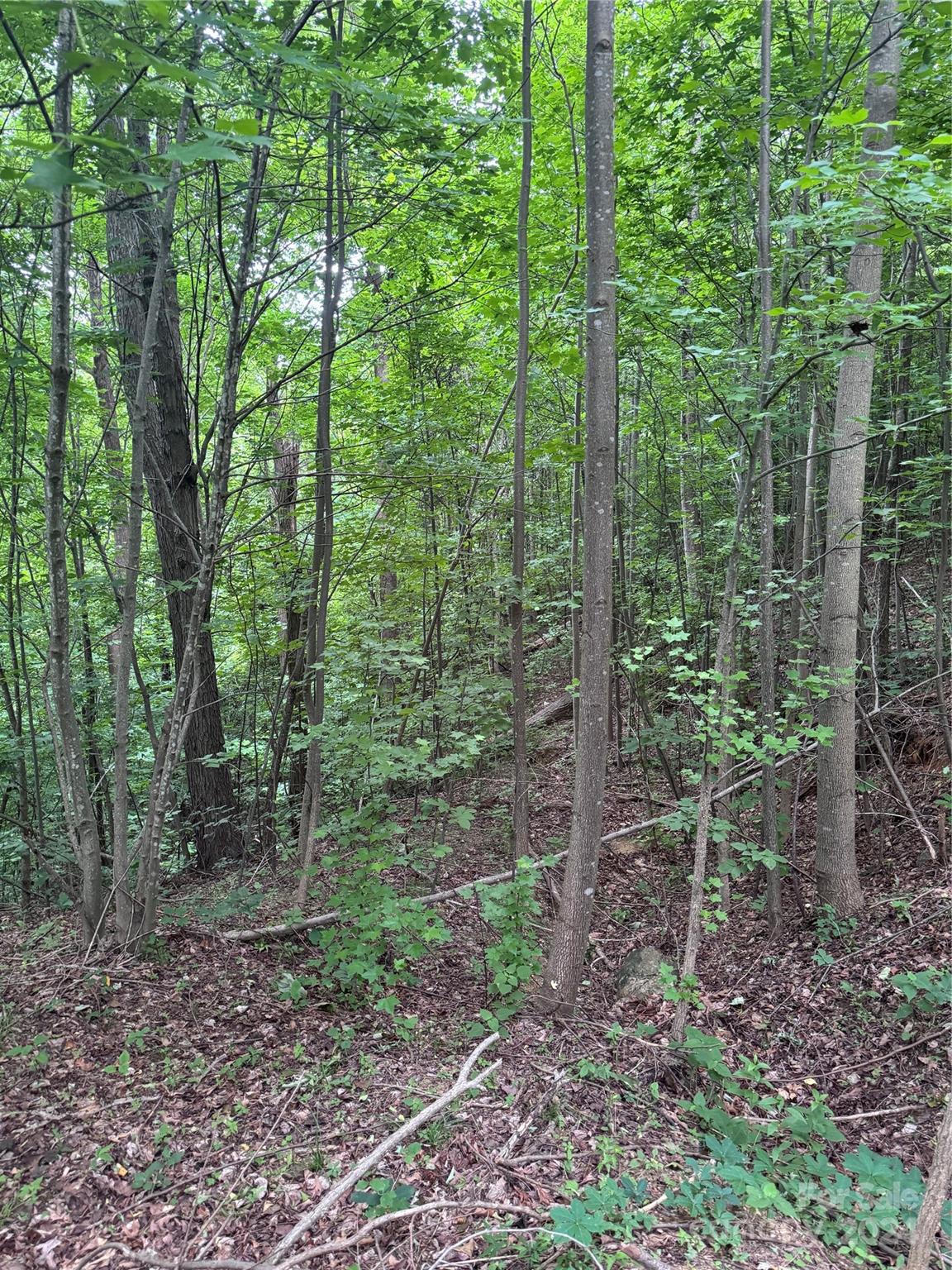 The Sanctuary of Tryon - Land