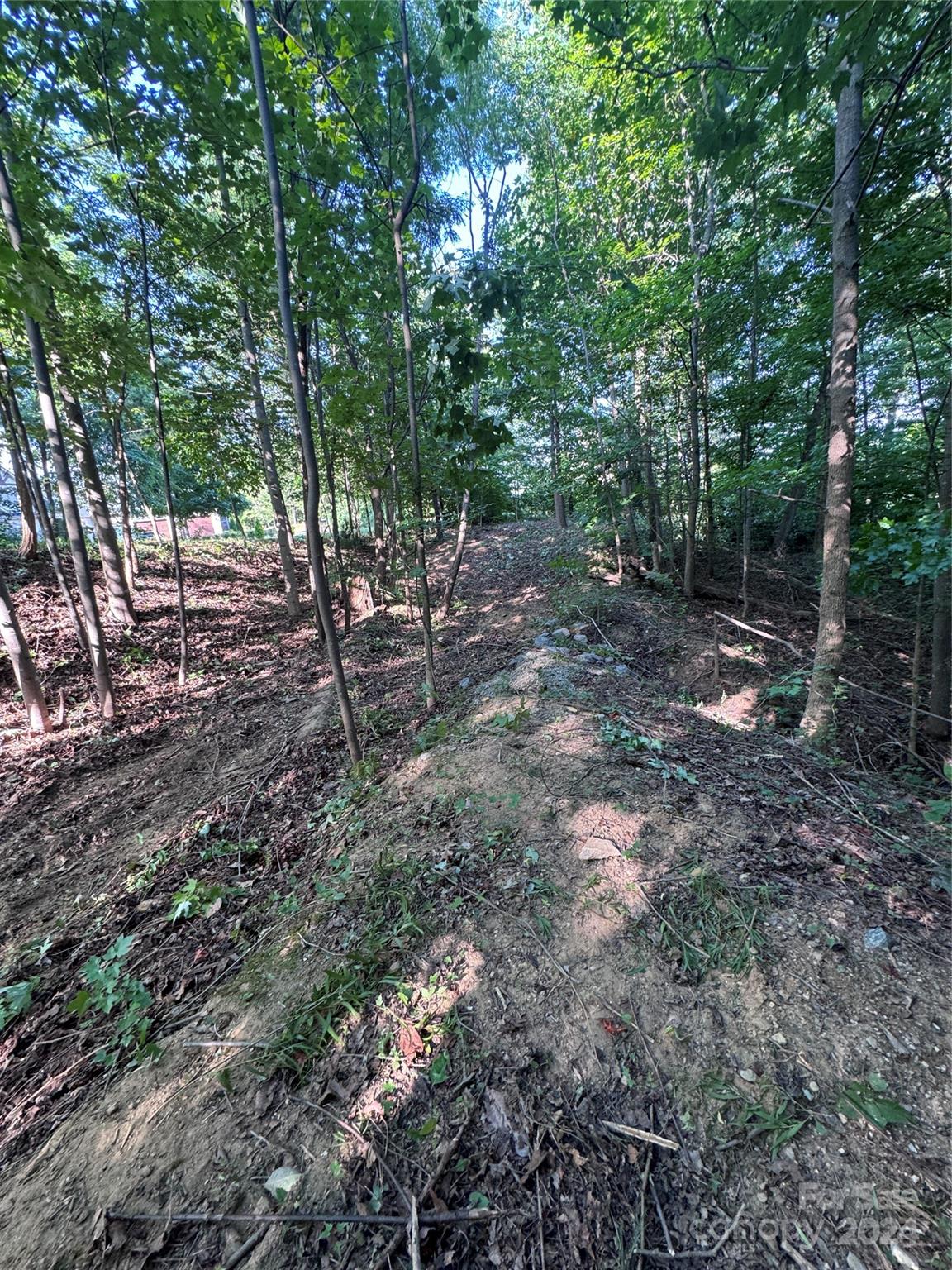 The Sanctuary of Tryon - Land