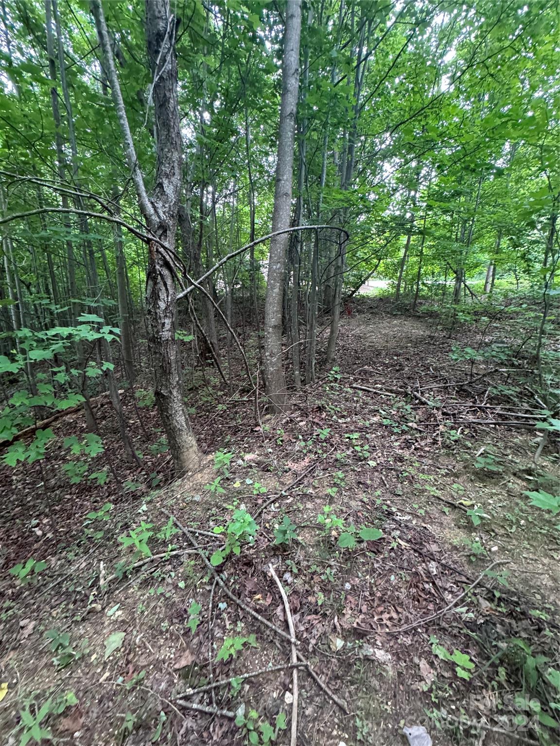 The Sanctuary of Tryon - Land