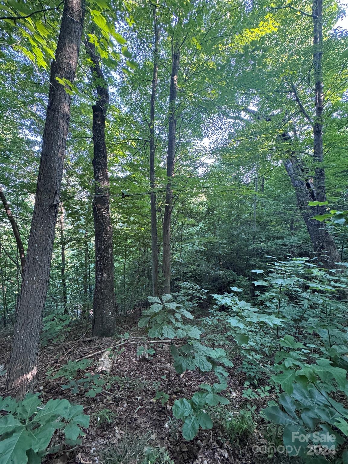 The Sanctuary of Tryon - Land