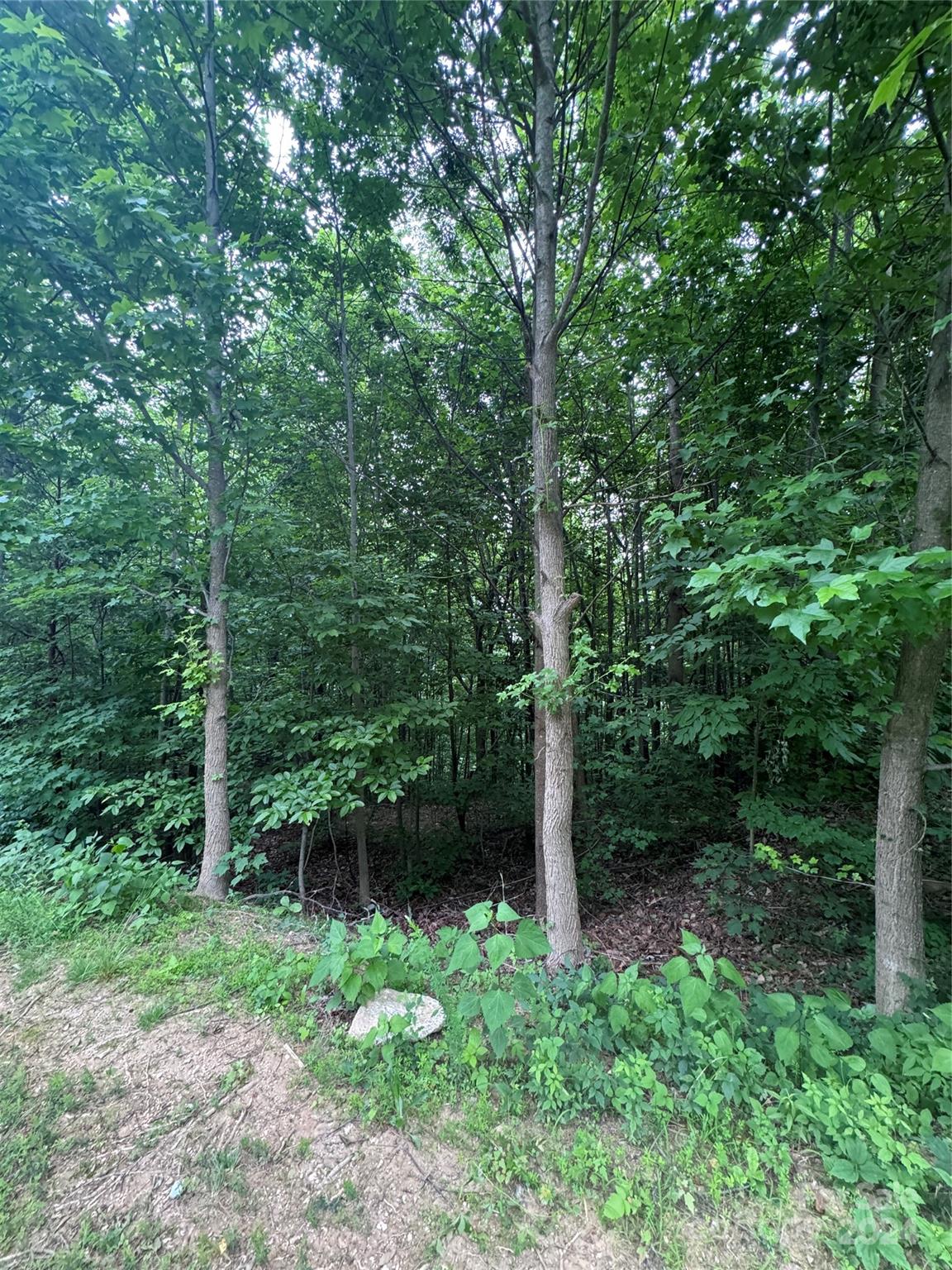 The Sanctuary of Tryon - Land