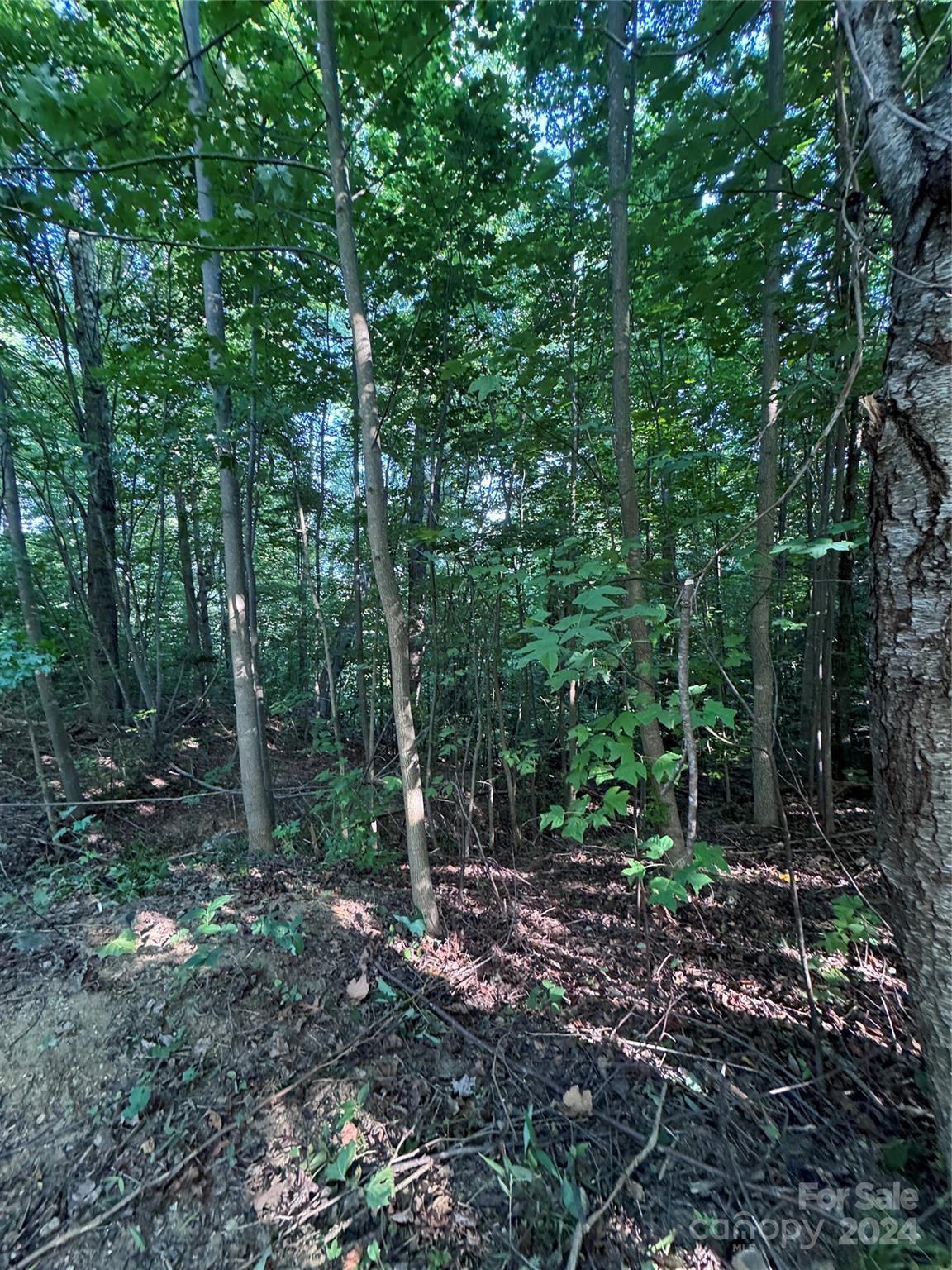 The Sanctuary of Tryon - Land