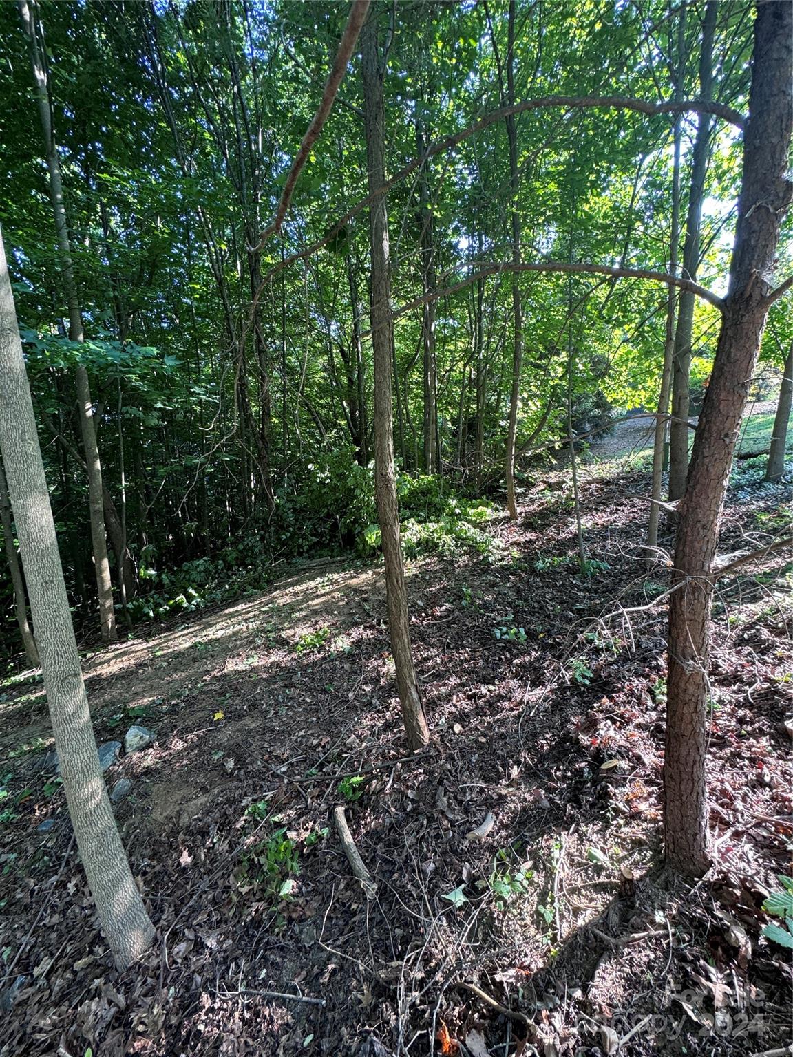 The Sanctuary of Tryon - Land