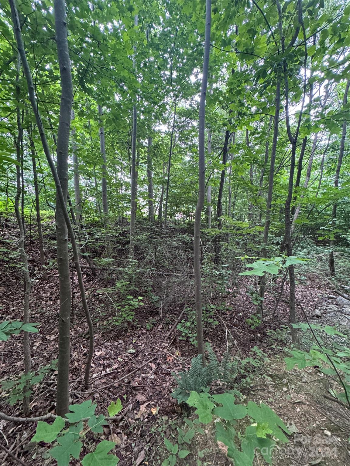 The Sanctuary of Tryon - Land