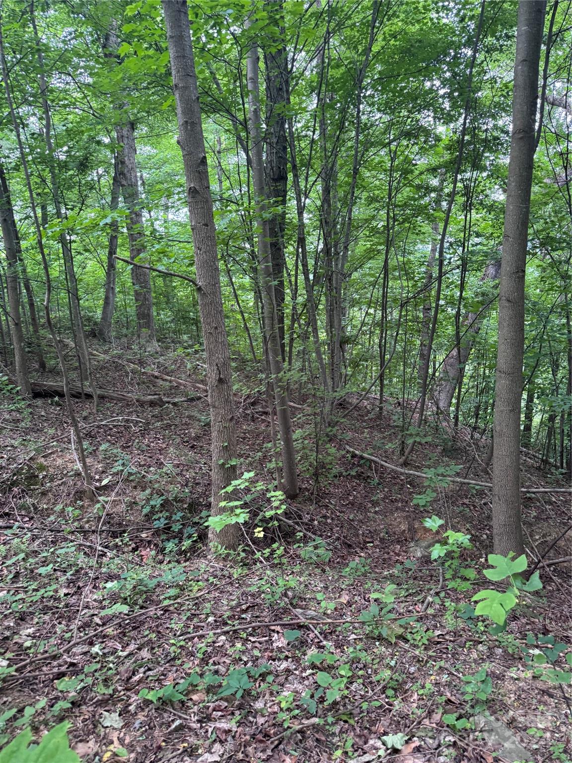 The Sanctuary of Tryon - Land