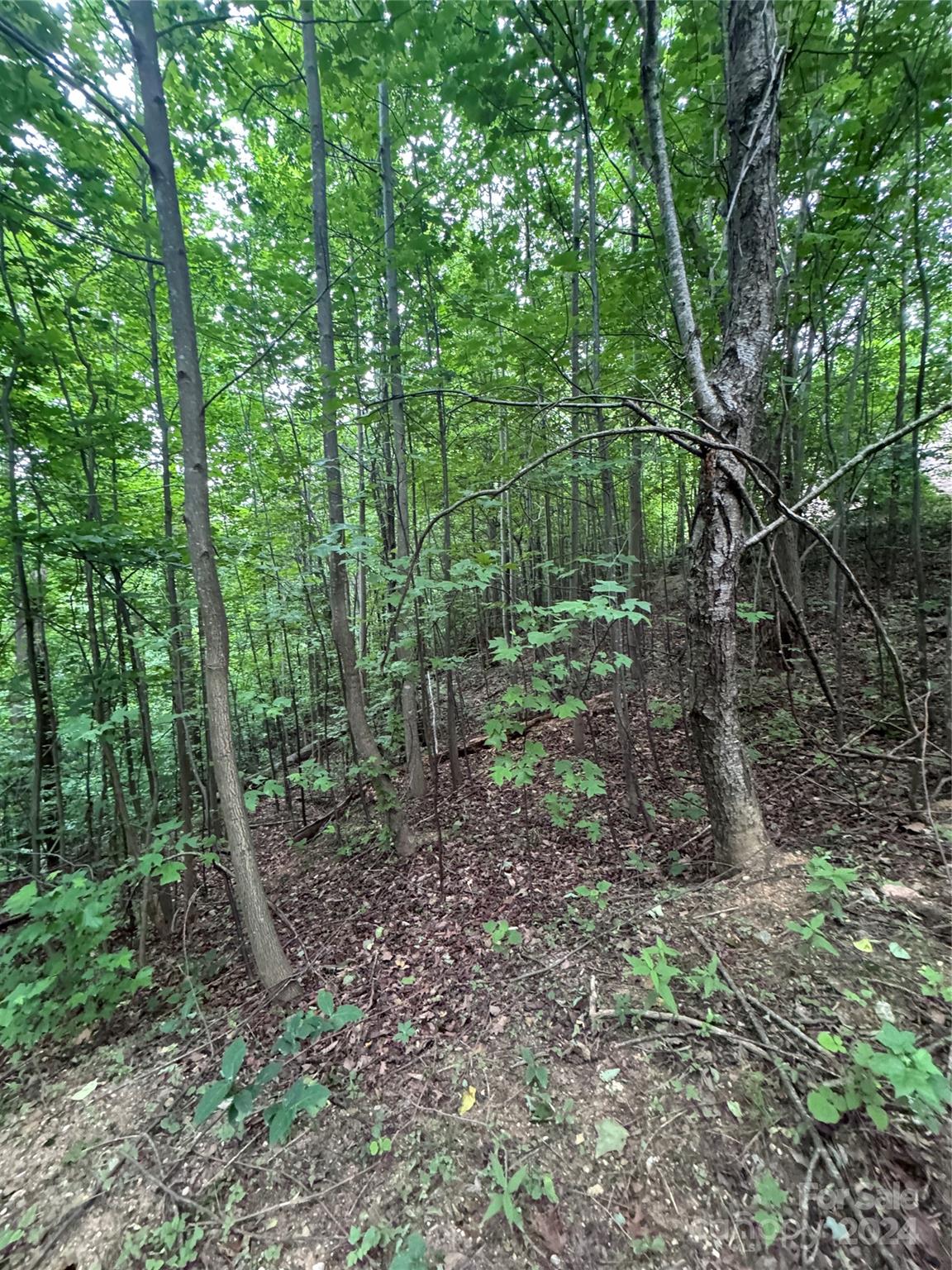 The Sanctuary of Tryon - Land