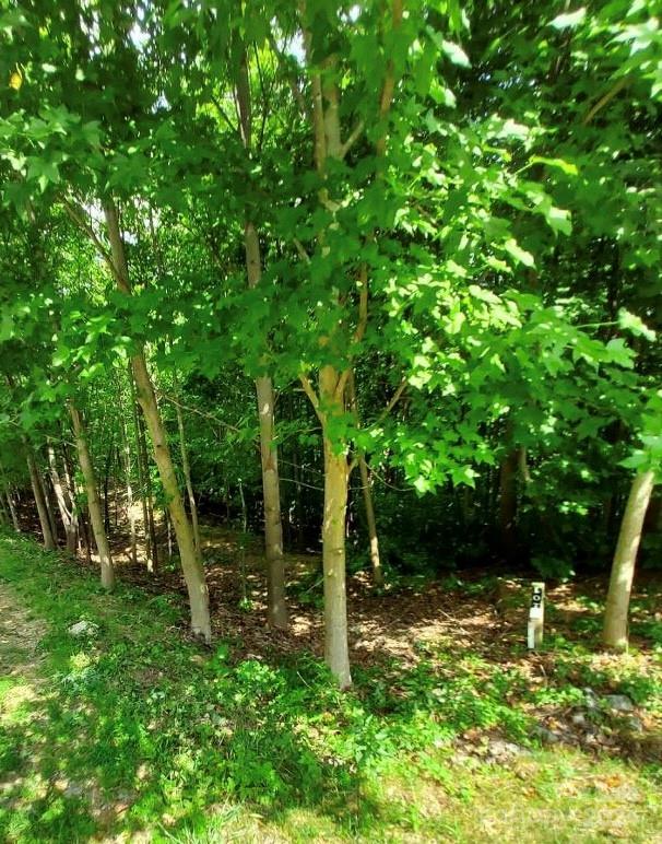 The Sanctuary of Tryon - Land