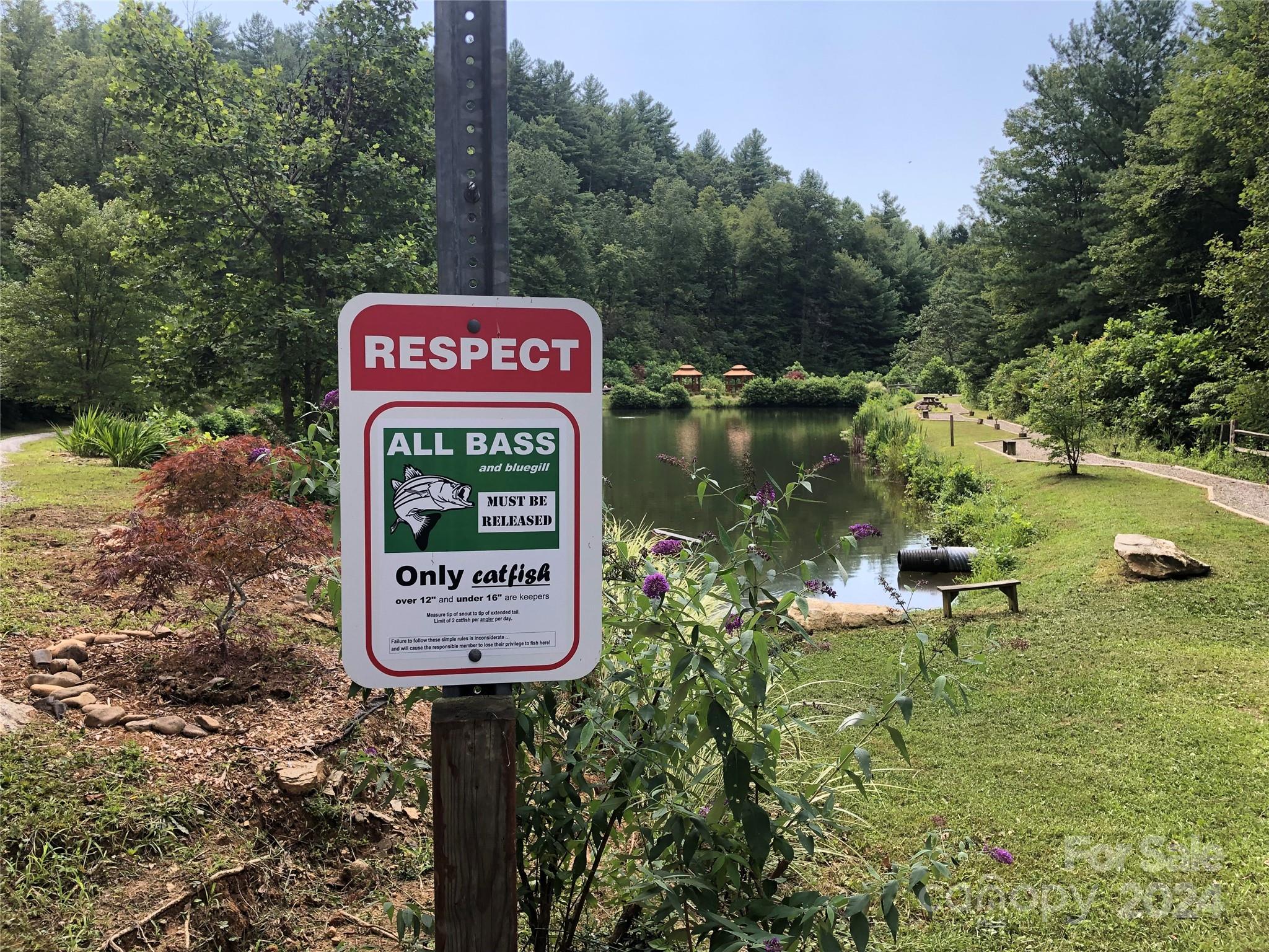 Buck Mountain - Land