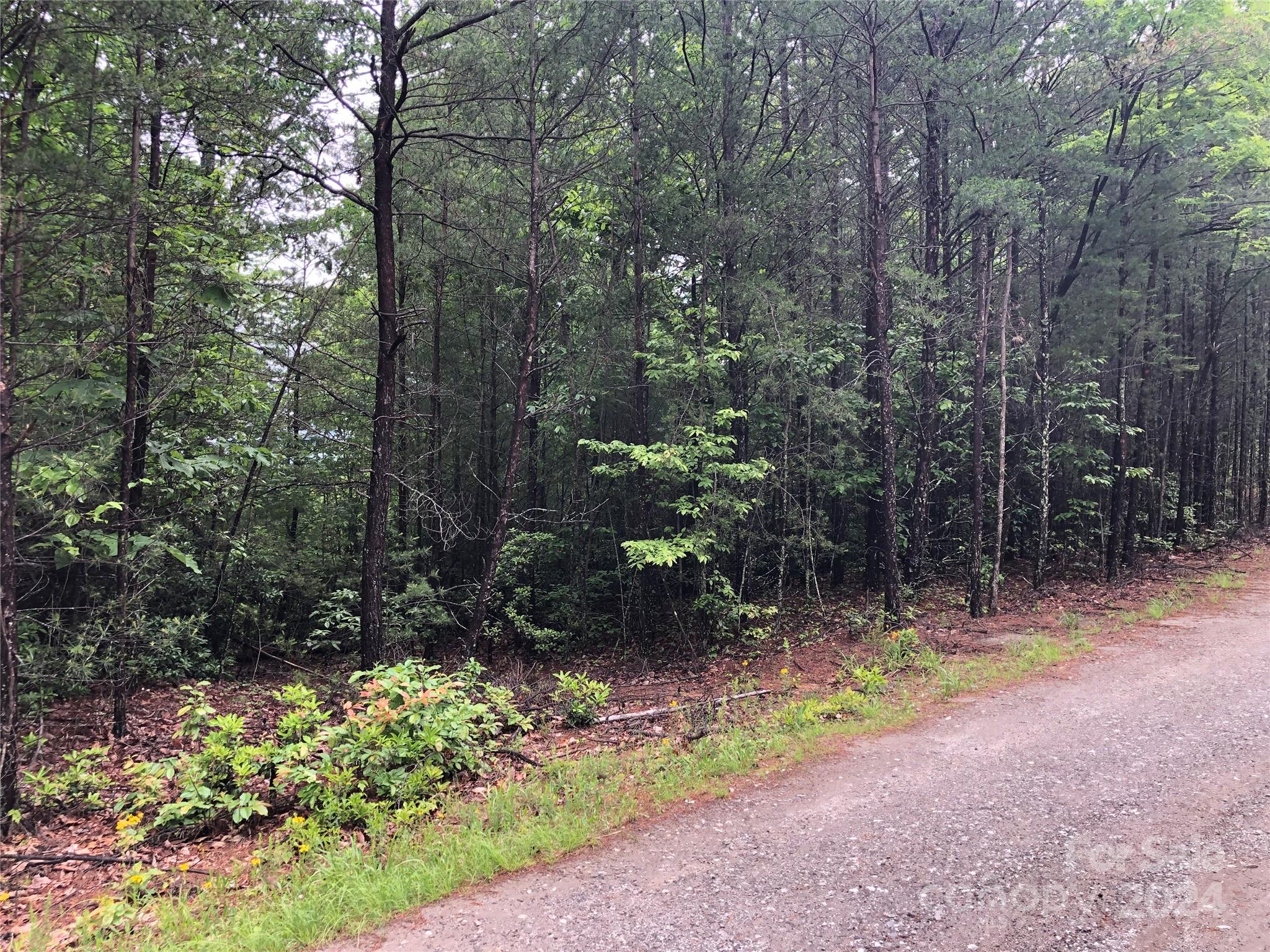 Buck Mountain - Land