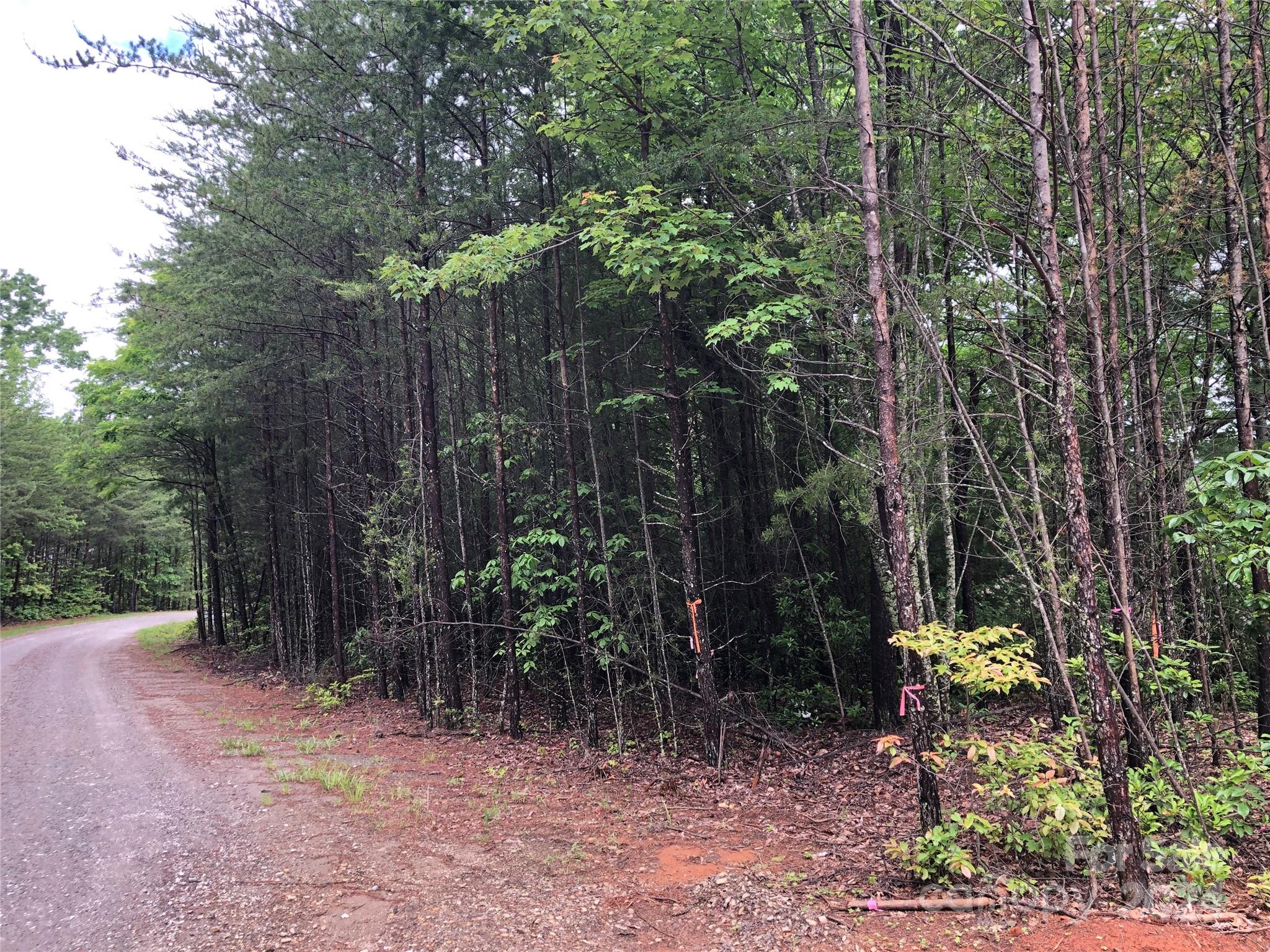 Buck Mountain - Land