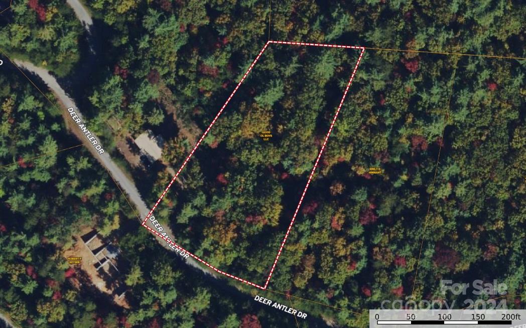 Buck Mountain - Land