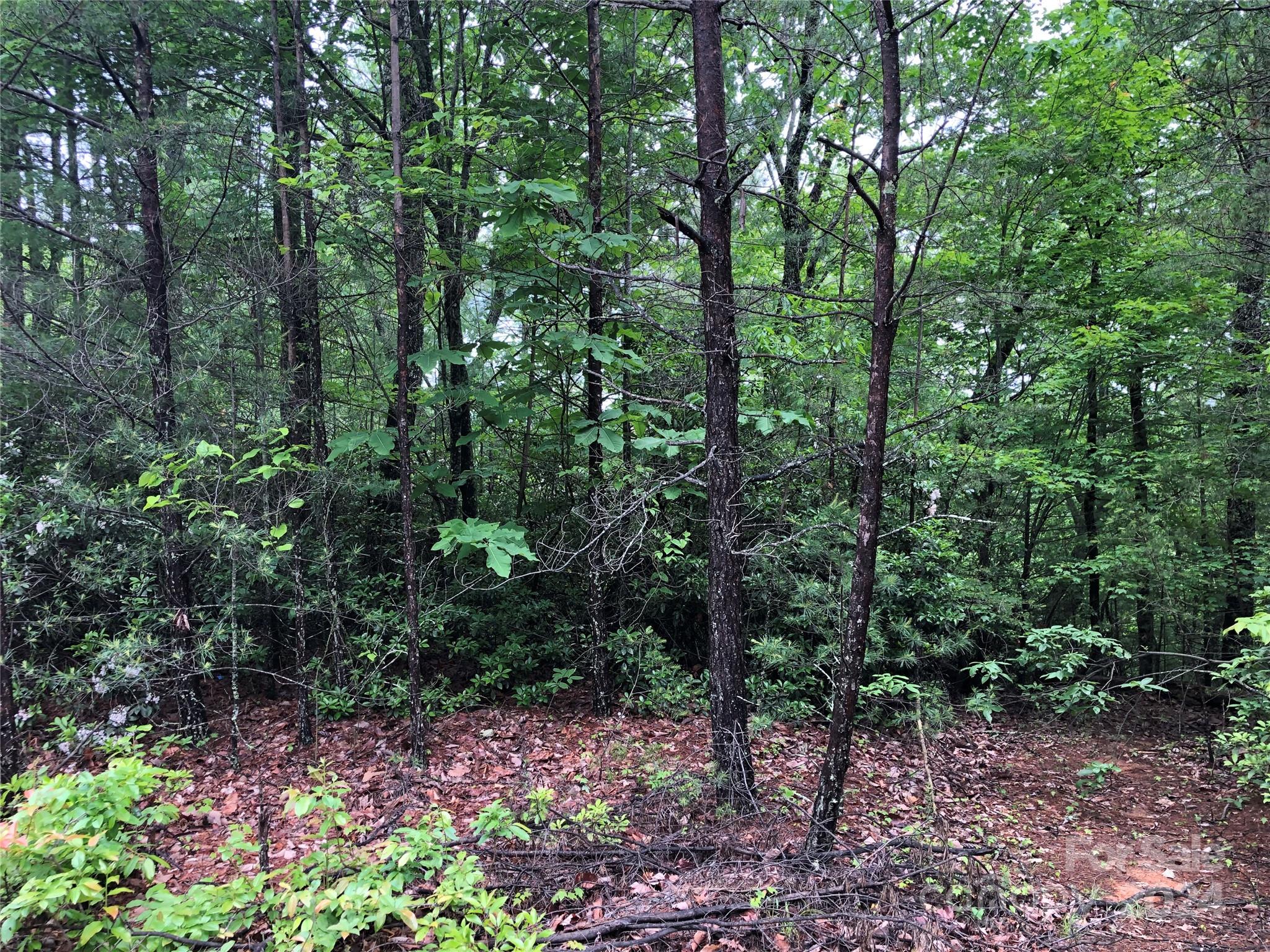 Buck Mountain - Land