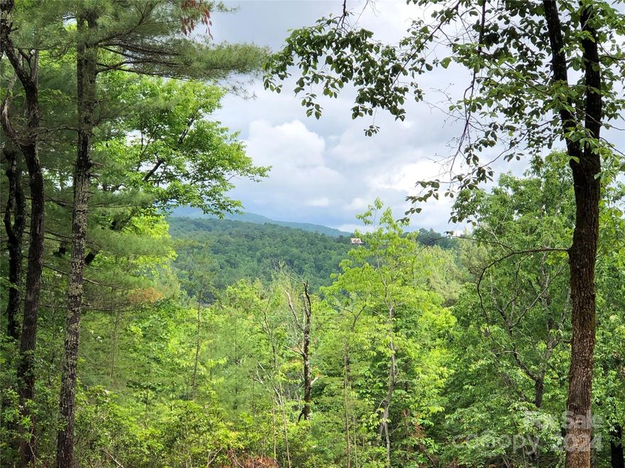 BEAUTIFUL MOUNTAIN VIEWS from this 1.33 acre building lot in the 3,400 acre Buck Mountain community...ONLY GATED ATV COMMUNITY in Wilkes County. MUST SEE! Located on Deer Antler Dr, a sought-after location in Buck Mtn because it is near the Outdoor Activity Center, Community Fishing Pond & Community Center. Build your weekend getaway or vacation rental property here! Fiber optic available. Long & short-term rentals are allowed. BUCK MTN IS A PRIME LOCATION! Just minutes from High Country activities. Centrally located 35 min from Boone, West Jefferson & Wilkesboro. Close to BLUE RIDGE PKWY, ASU, shopping, dining, golf, mtn biking & skiing. BUCK MTN HAS HARD TO FIND AMENITIES like ATV & Hiking Trails, Parks, Fishing Pond, Water Falls, Pavilions, Putting Green, Community Center, Helipad, Outdoor Activity Center w/amphitheater for live music, community gatherings & so much more! Make lasting memories while spending the day hiking or riding ATVs on the miles of trails.