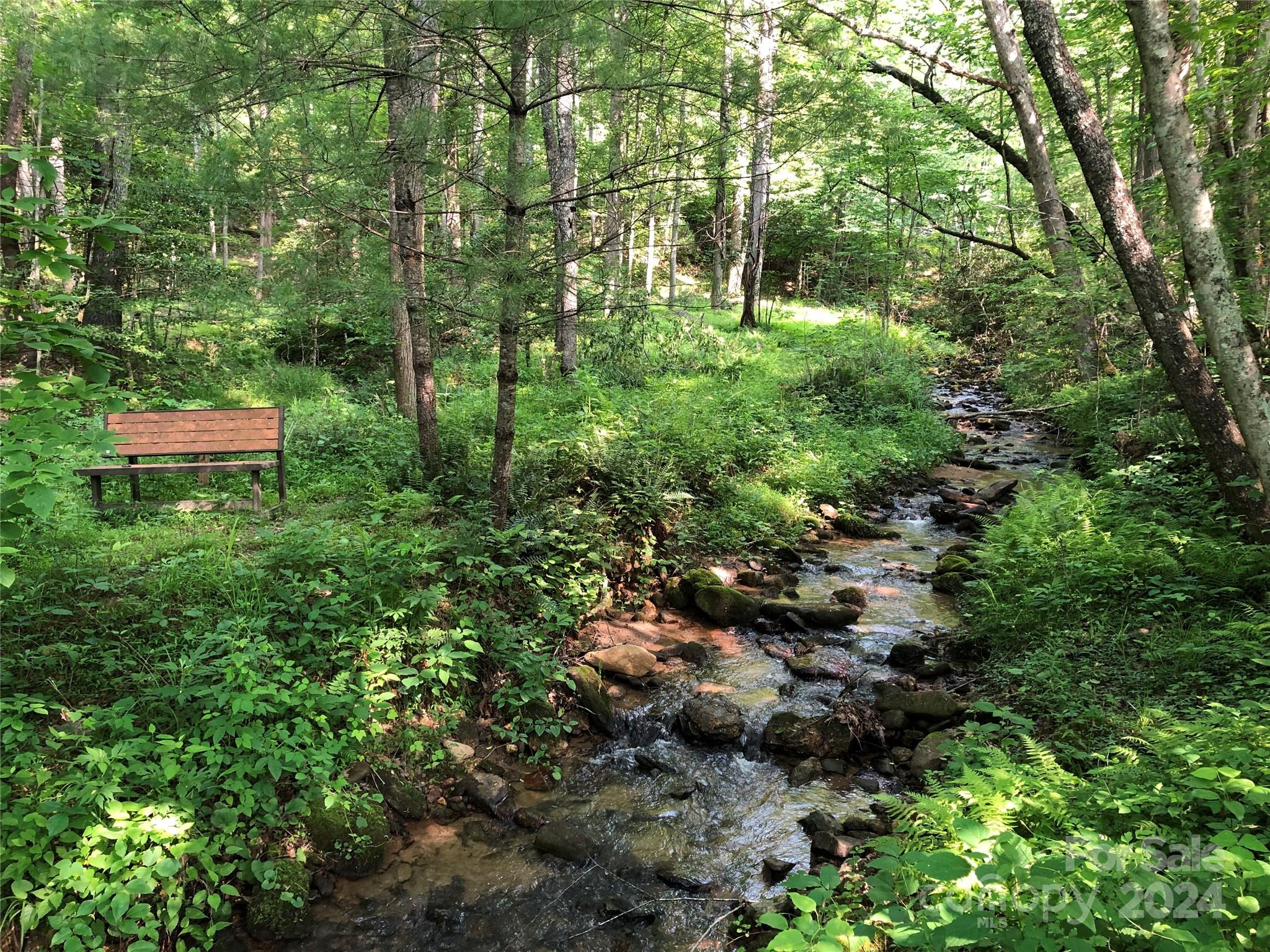 Buck Mountain - Land