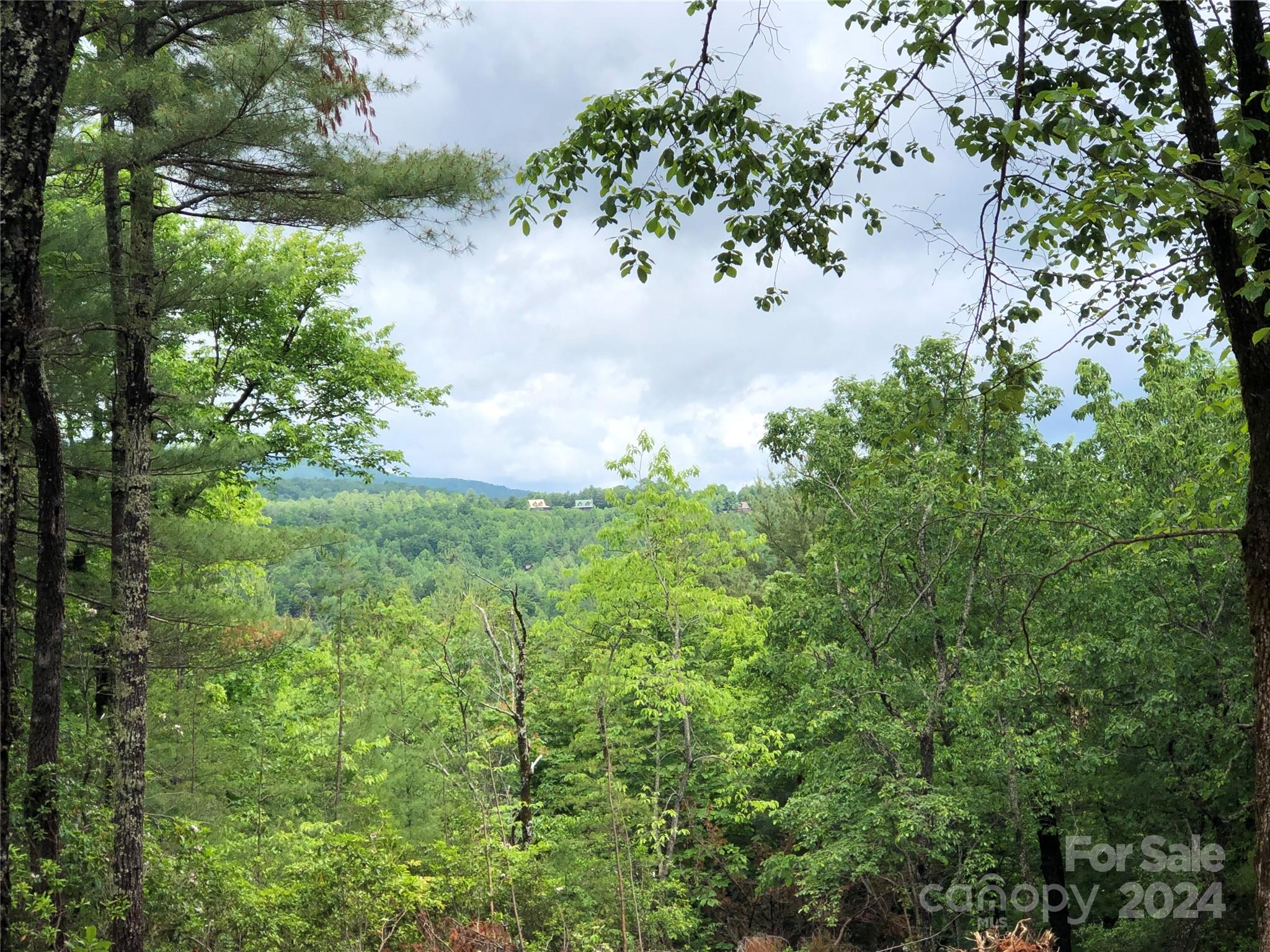 Buck Mountain - Land