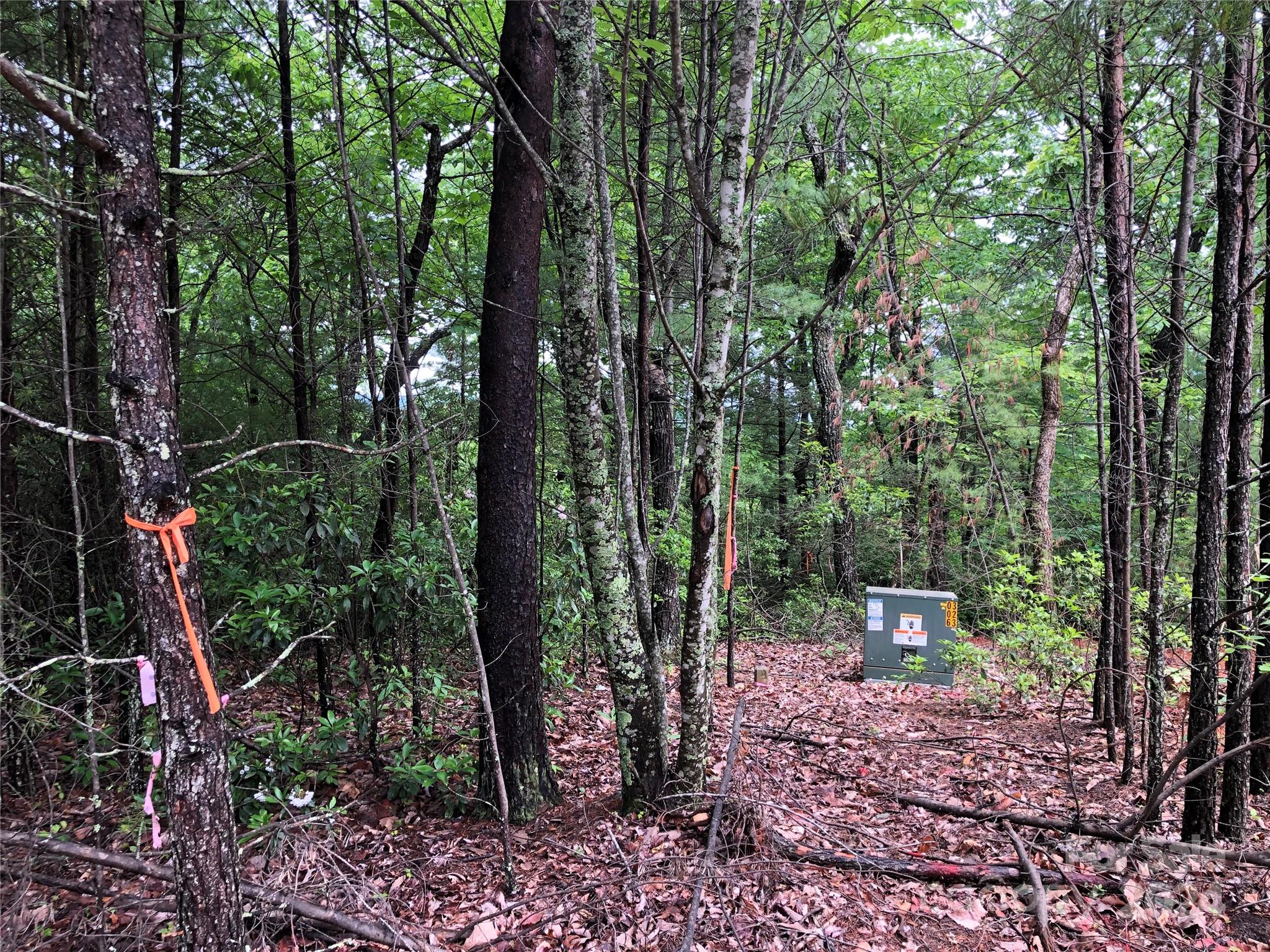 Buck Mountain - Land