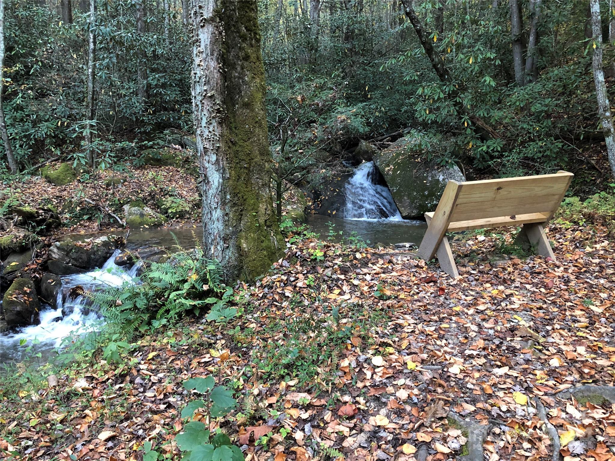 Buck Mountain - Land