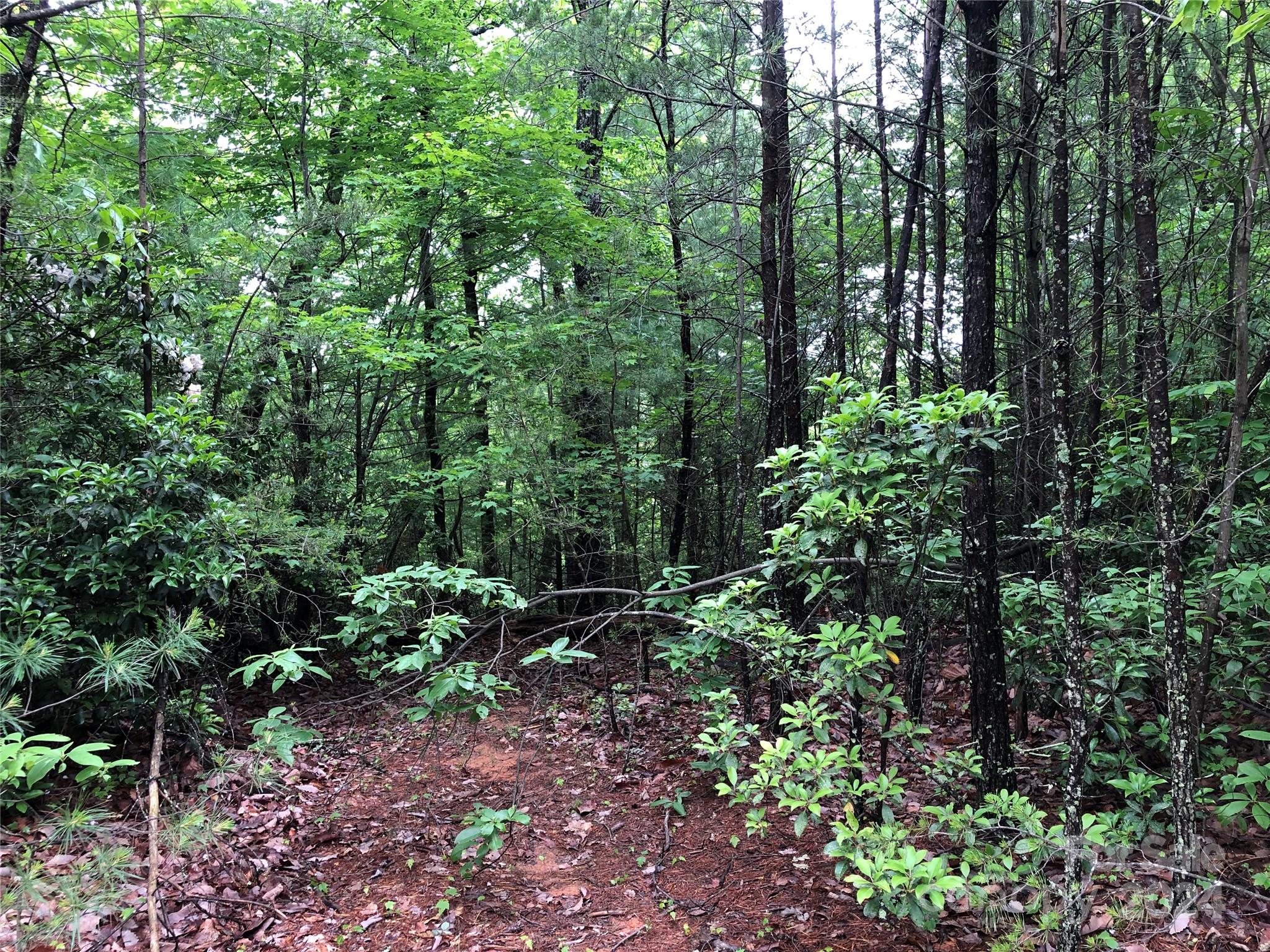 Buck Mountain - Land