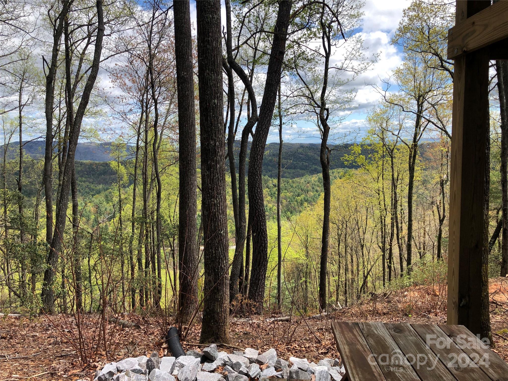 Buck Mountain - Land