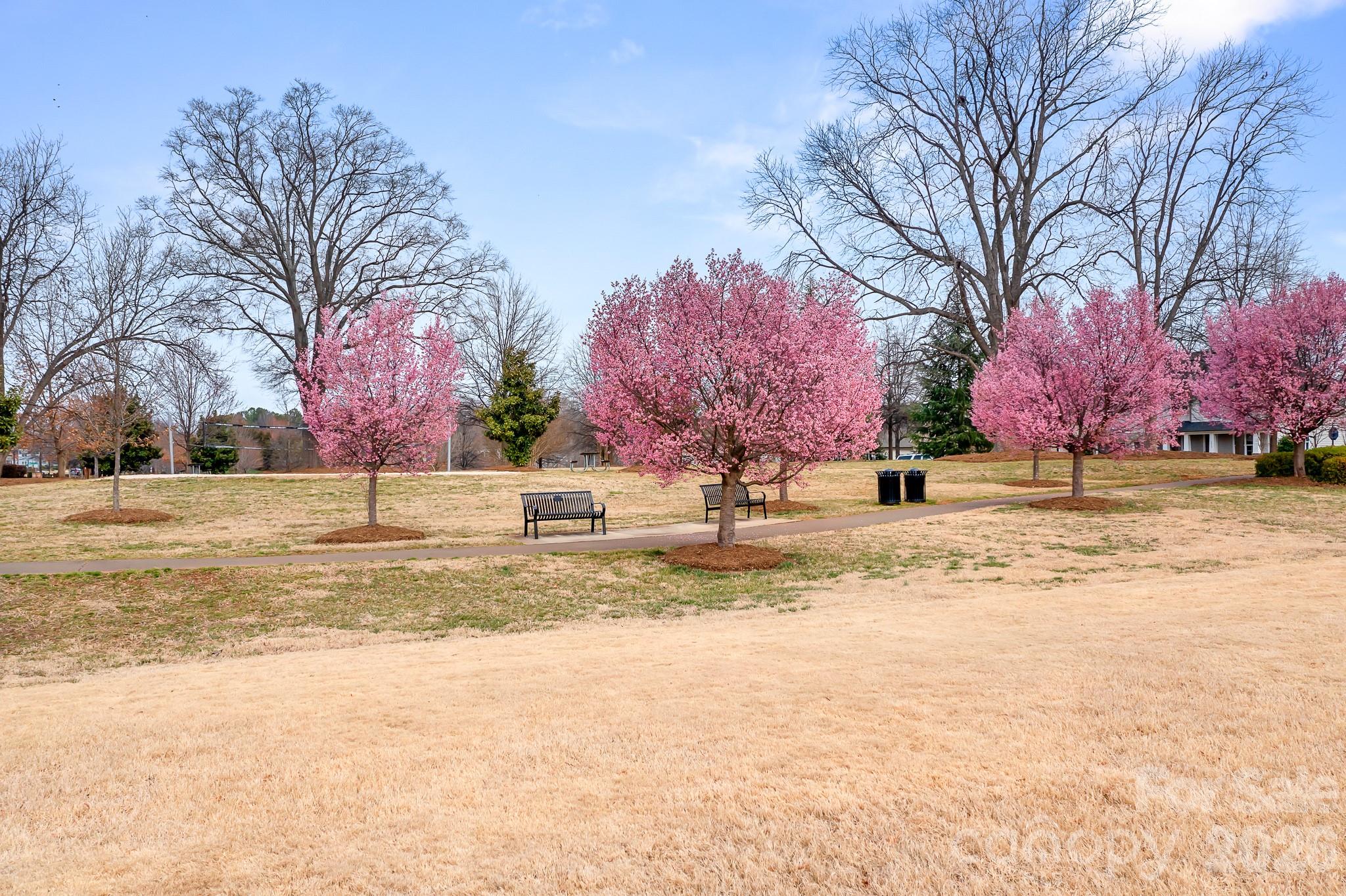 Robbins Park - Residential